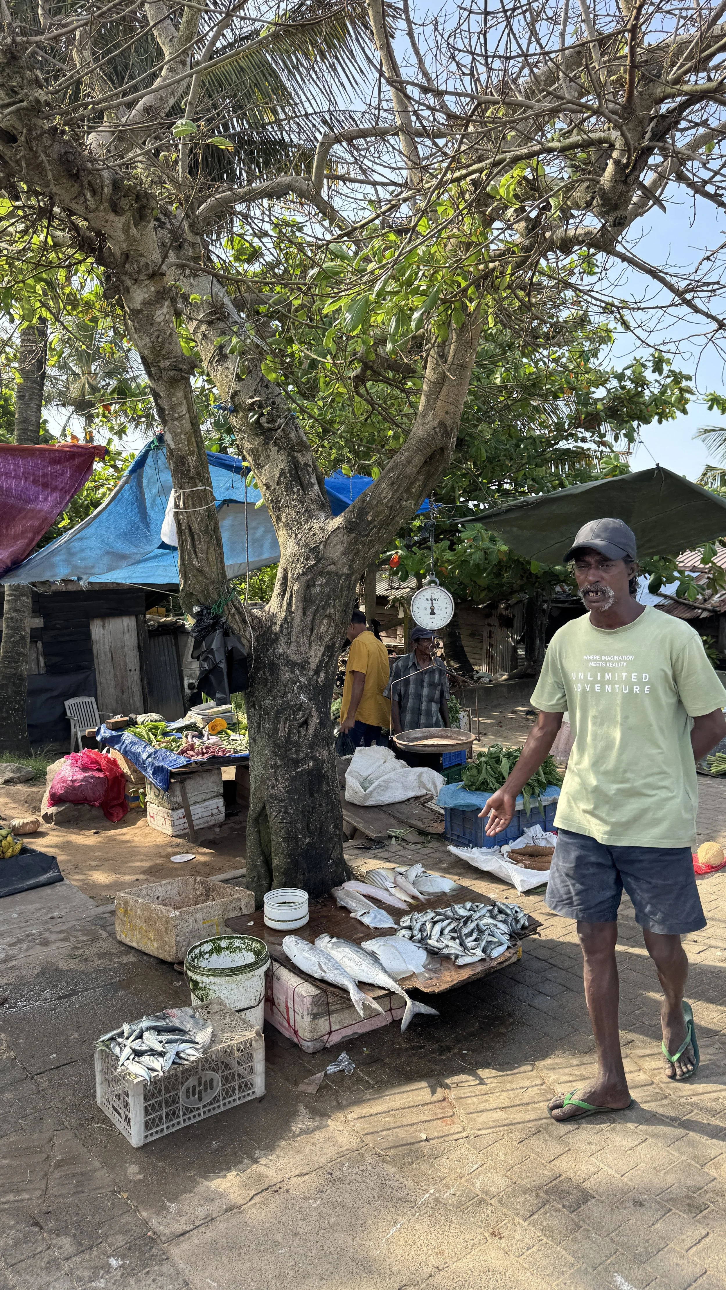 Sri Lanka Markets9112.jpg
