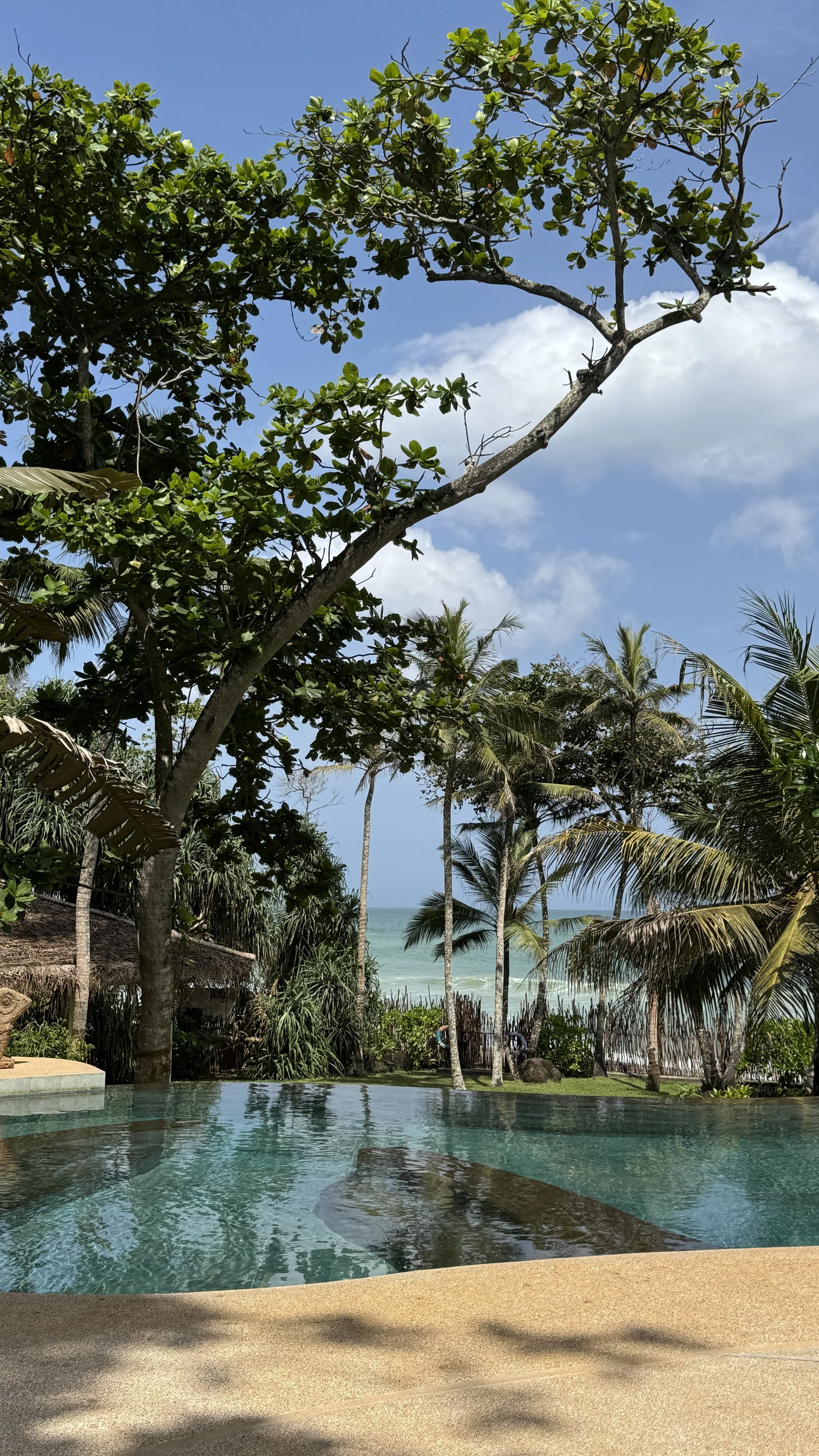 Sri Lanka Meda Gedara7793.jpg