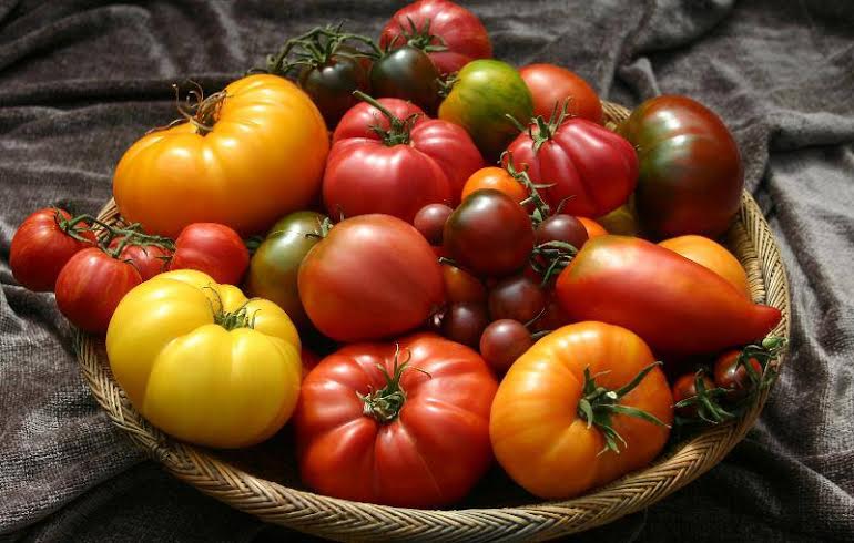 tomatoes.jpeg