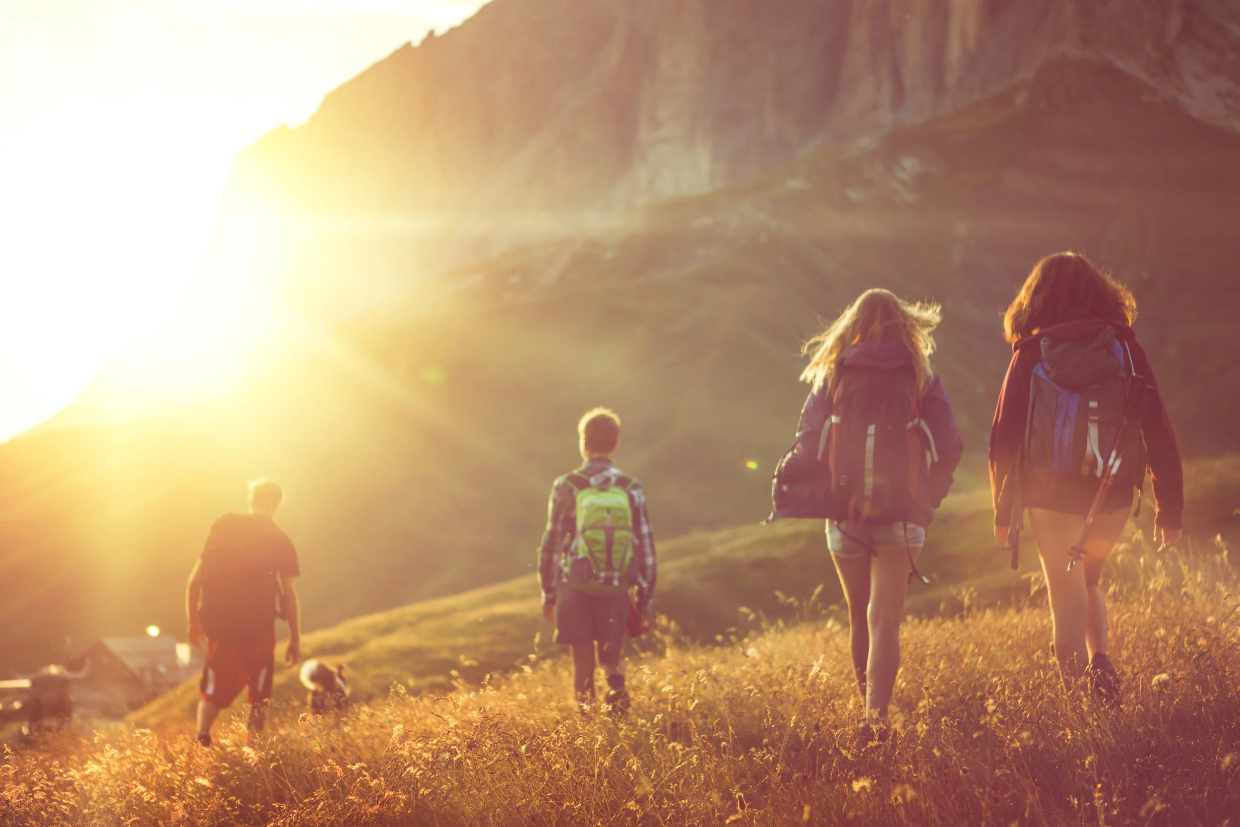grass_field_teens_sun_stockphoto.jpg