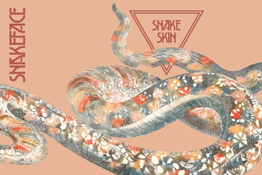 3x2_4 oz Snake Skin.jpg