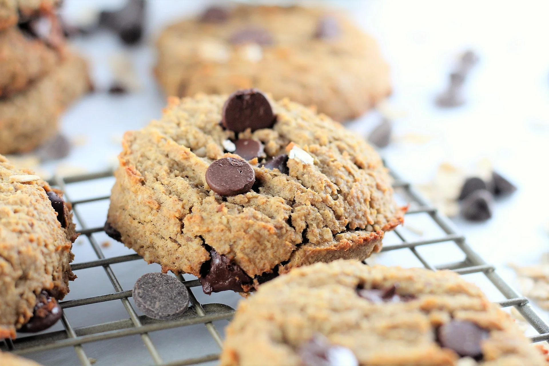 Oatmeal Chocolate Chip High Protein Cookies — Milk & Honey Nutrition