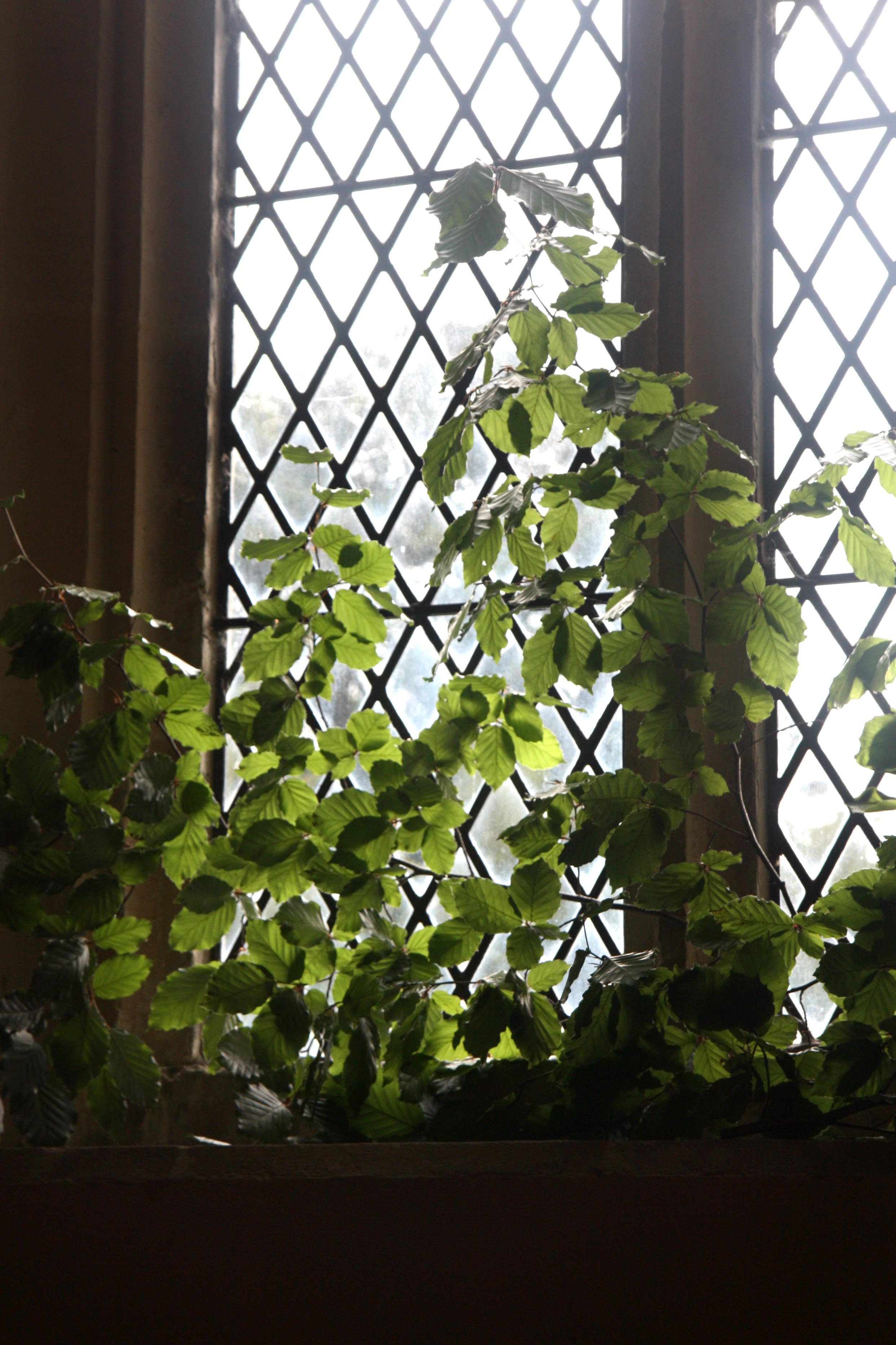 church window1.jpg