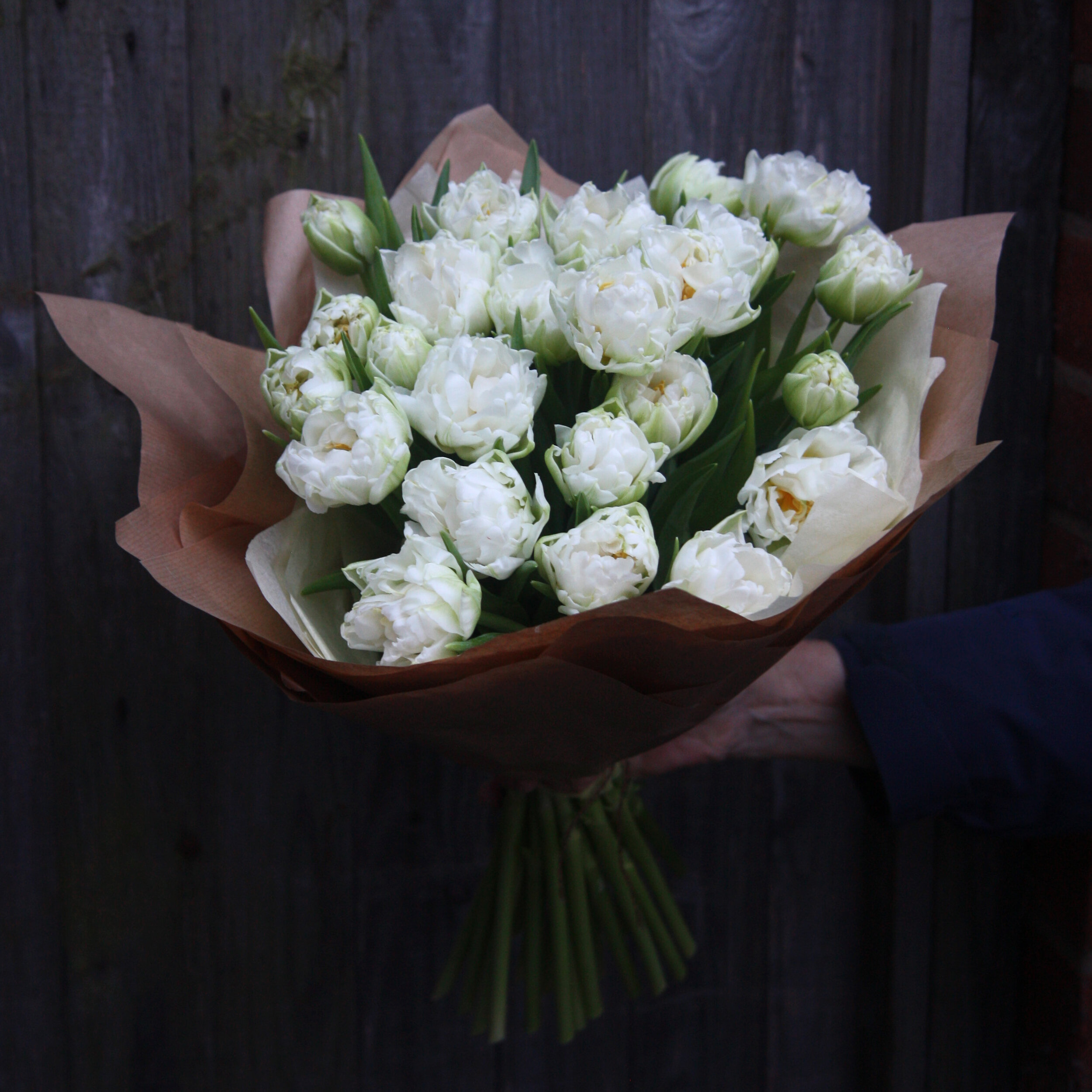 tulips en masse1.jpg