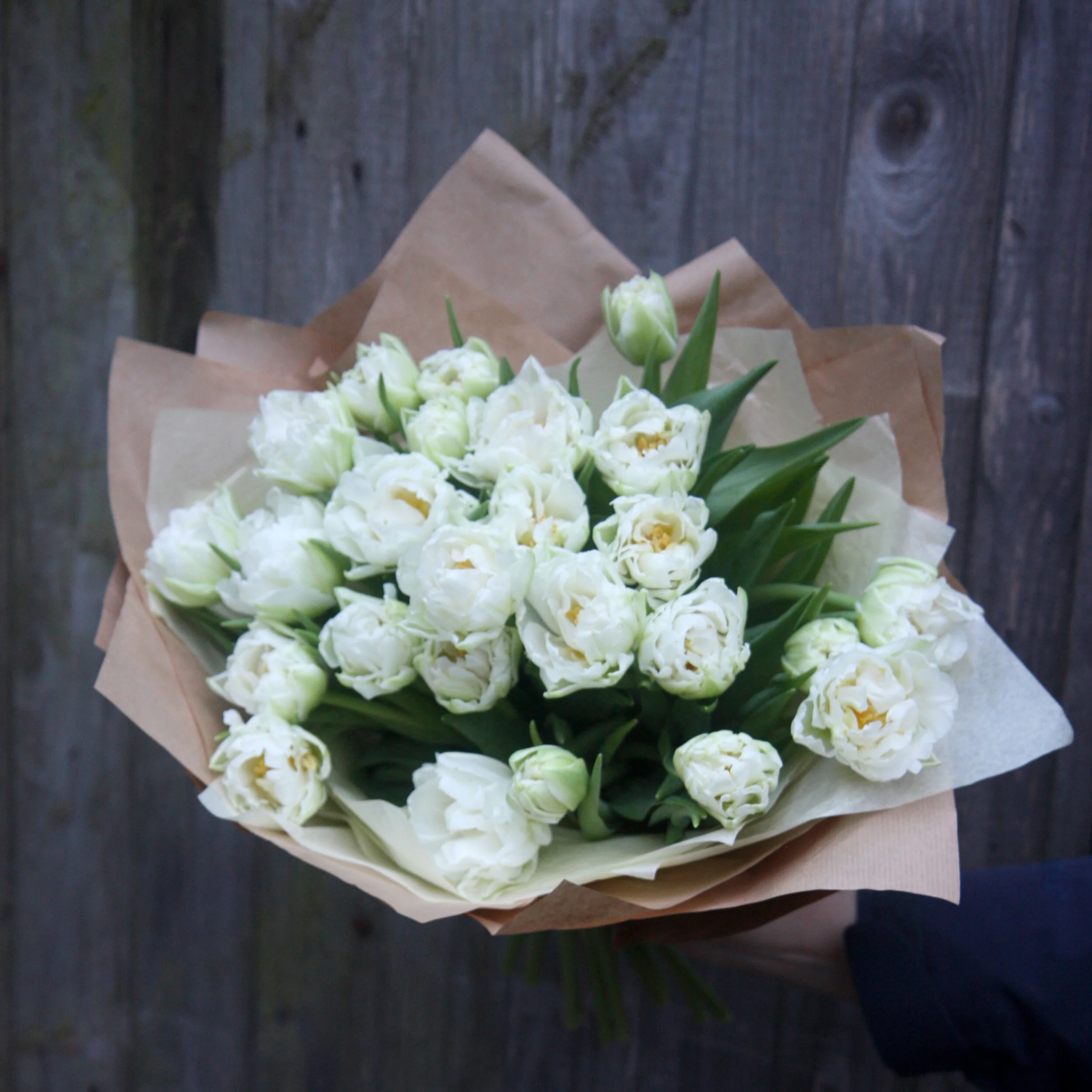 tulips en masse2.jpg