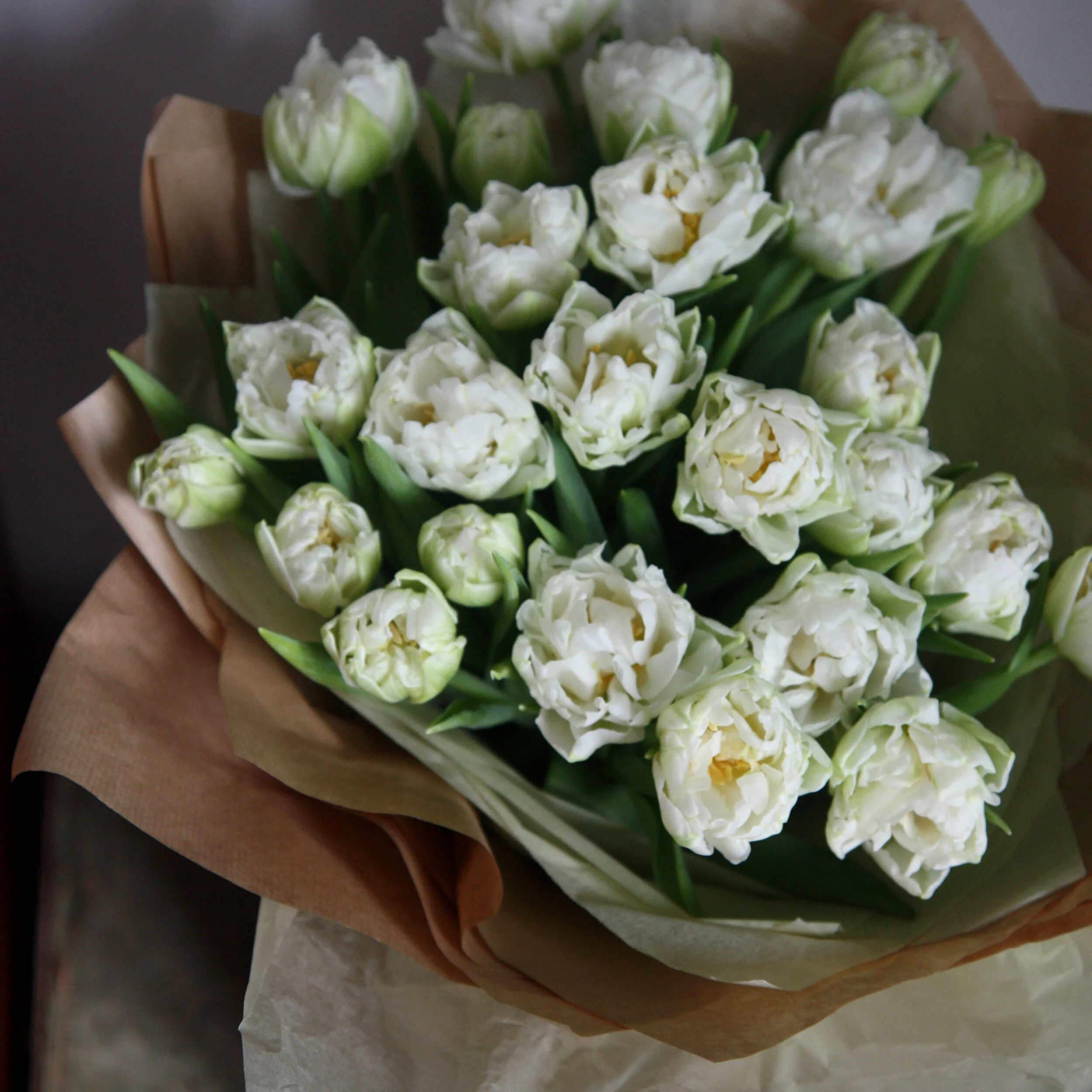 tulips en masse3.jpg