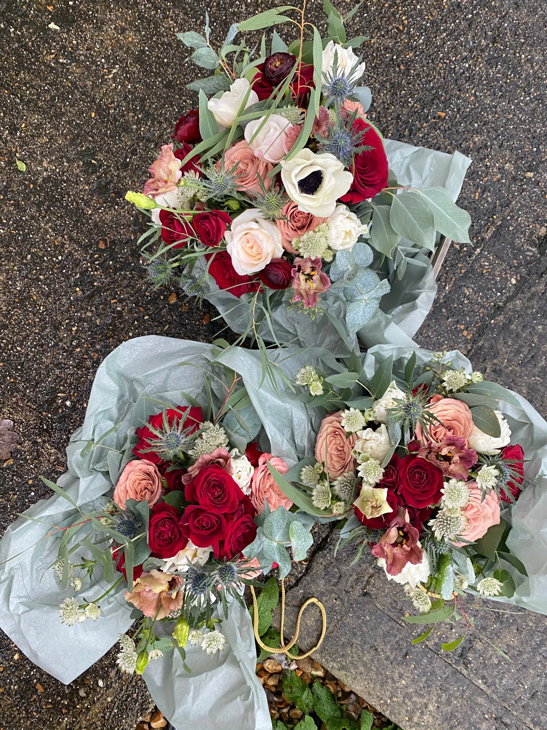 CCAE4E59-49AC-439E-B152-75B3E8092902