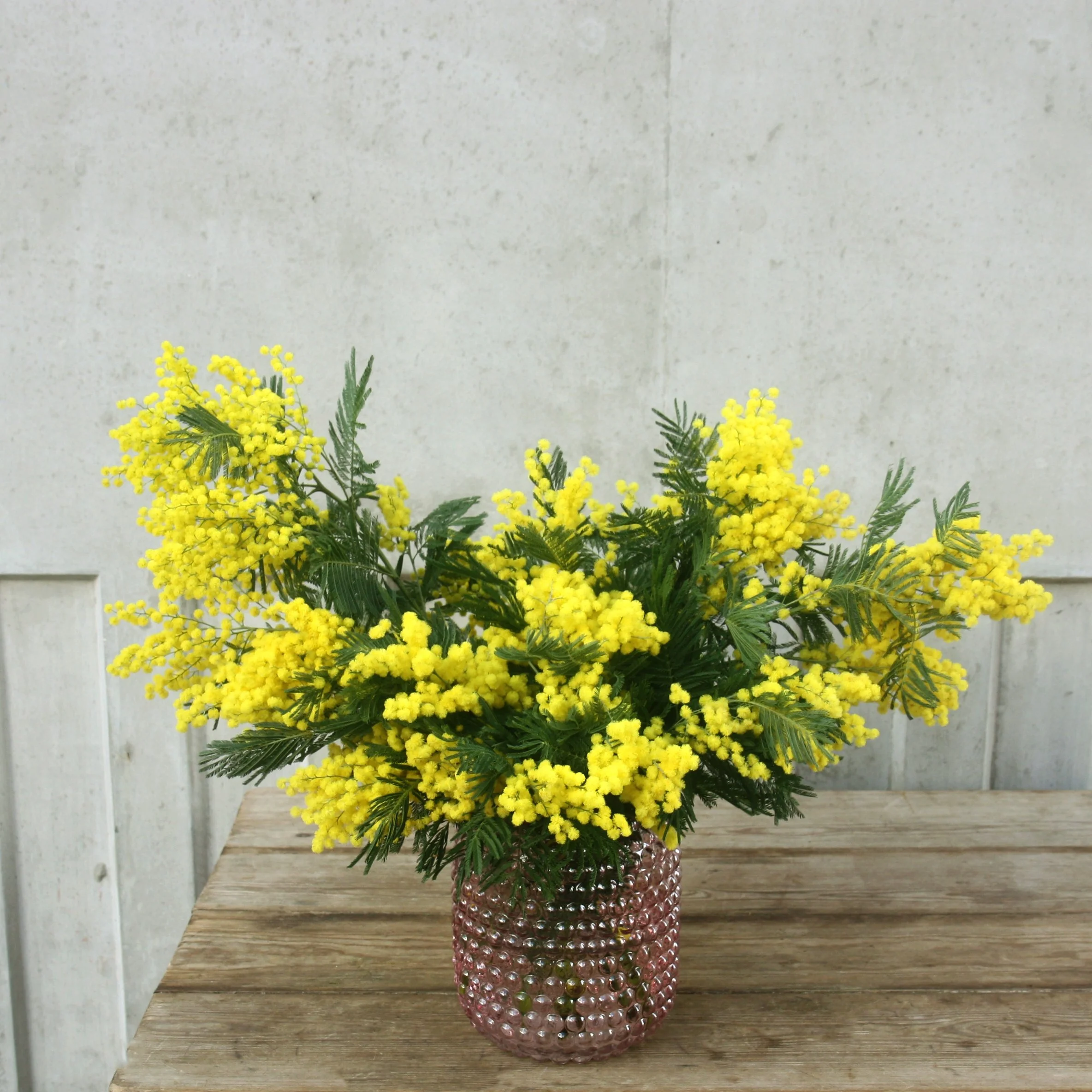 pink bobble vase with mimosa.jpg