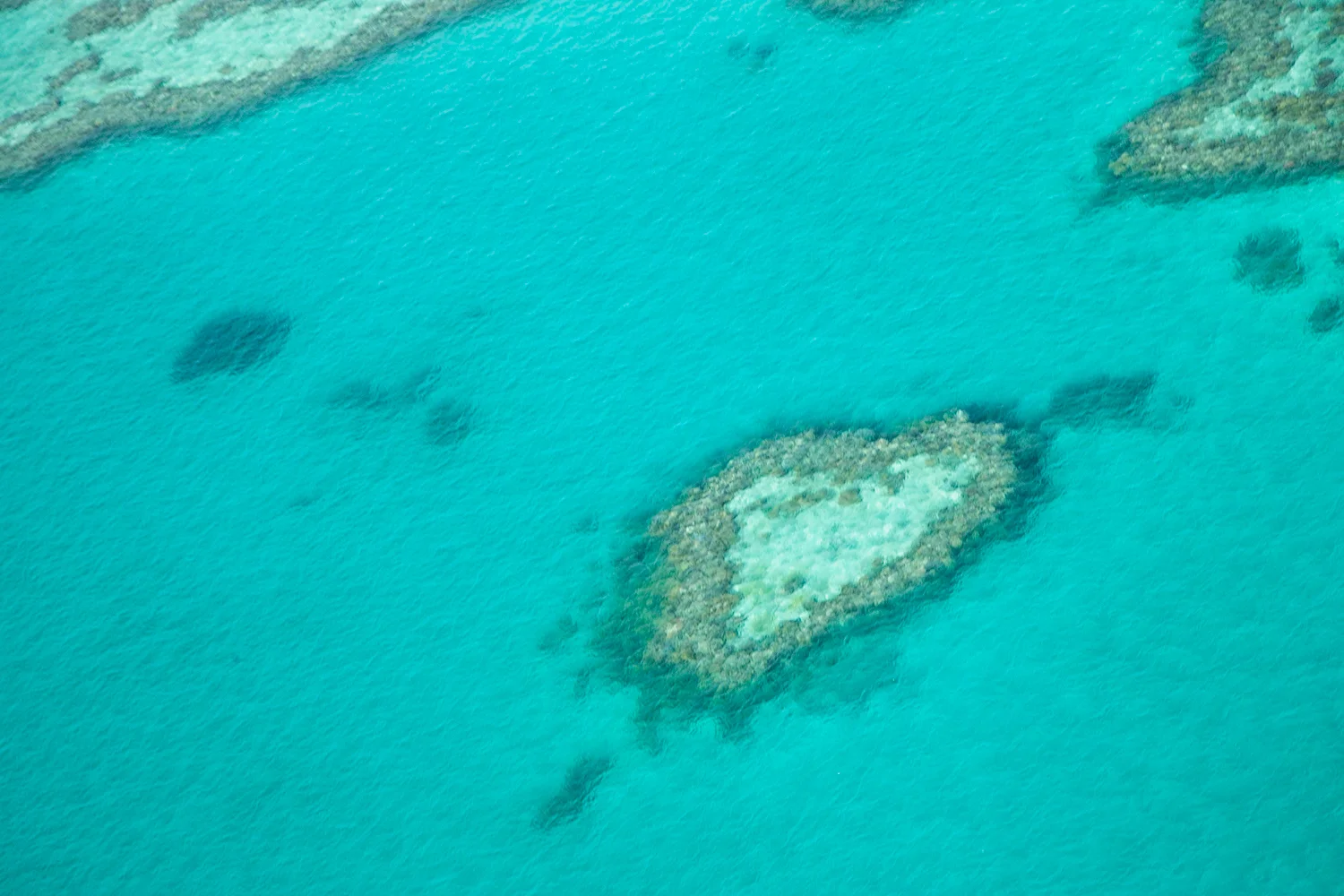 Jetting over The Heart Reef in Whitsundays, Queensland. An awesome present from my awesome husband! Love you darling!