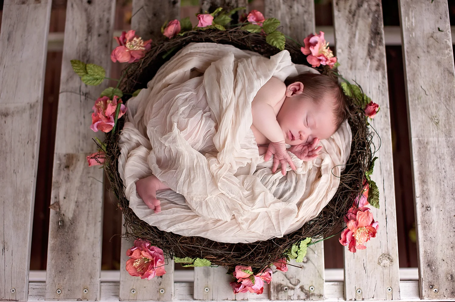 baby_nest.jpg