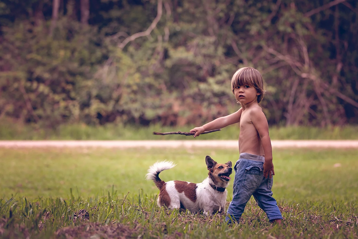 boy_and_a_dog_web.jpg