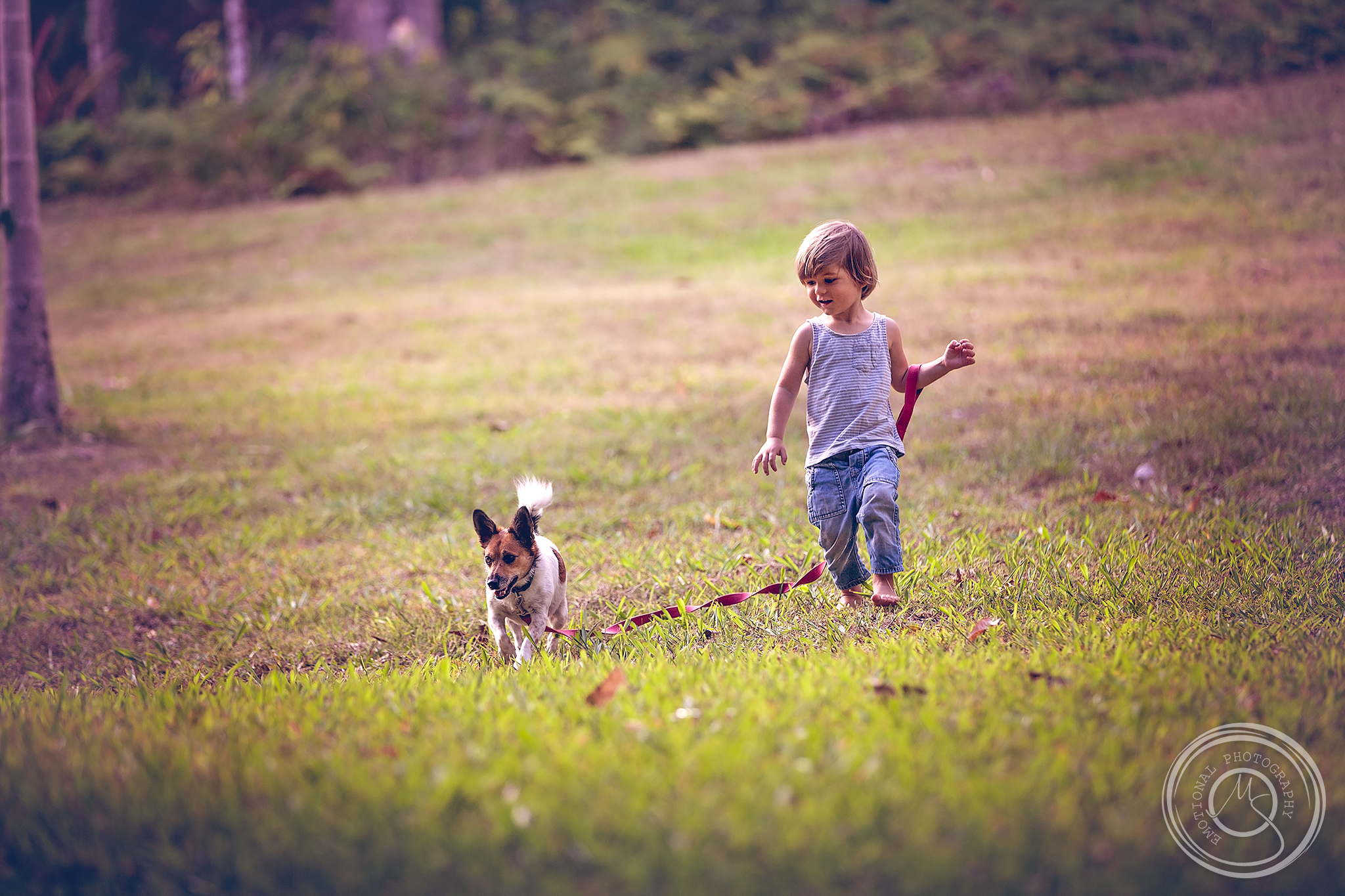boy_and_a_dog_w.jpg