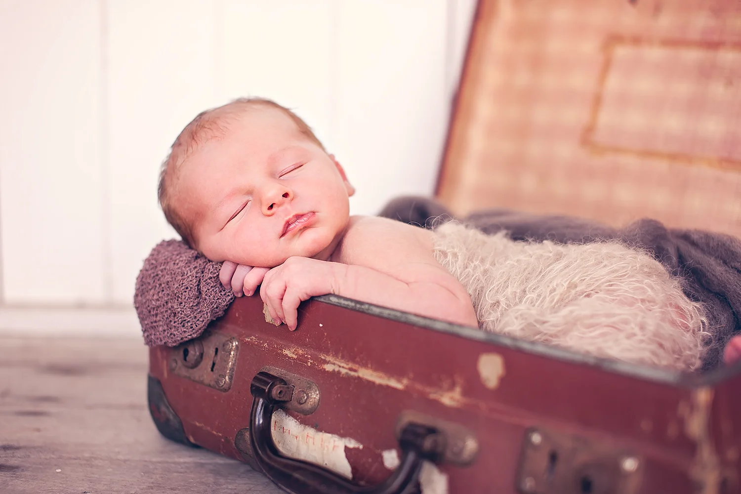 newborn_in_suitcase.jpg