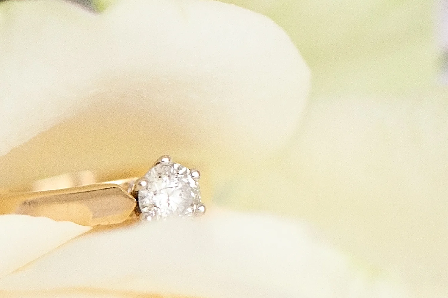 engagementring.jpg