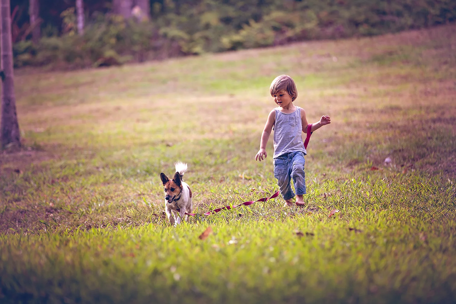 boy_and_a_dog.jpg