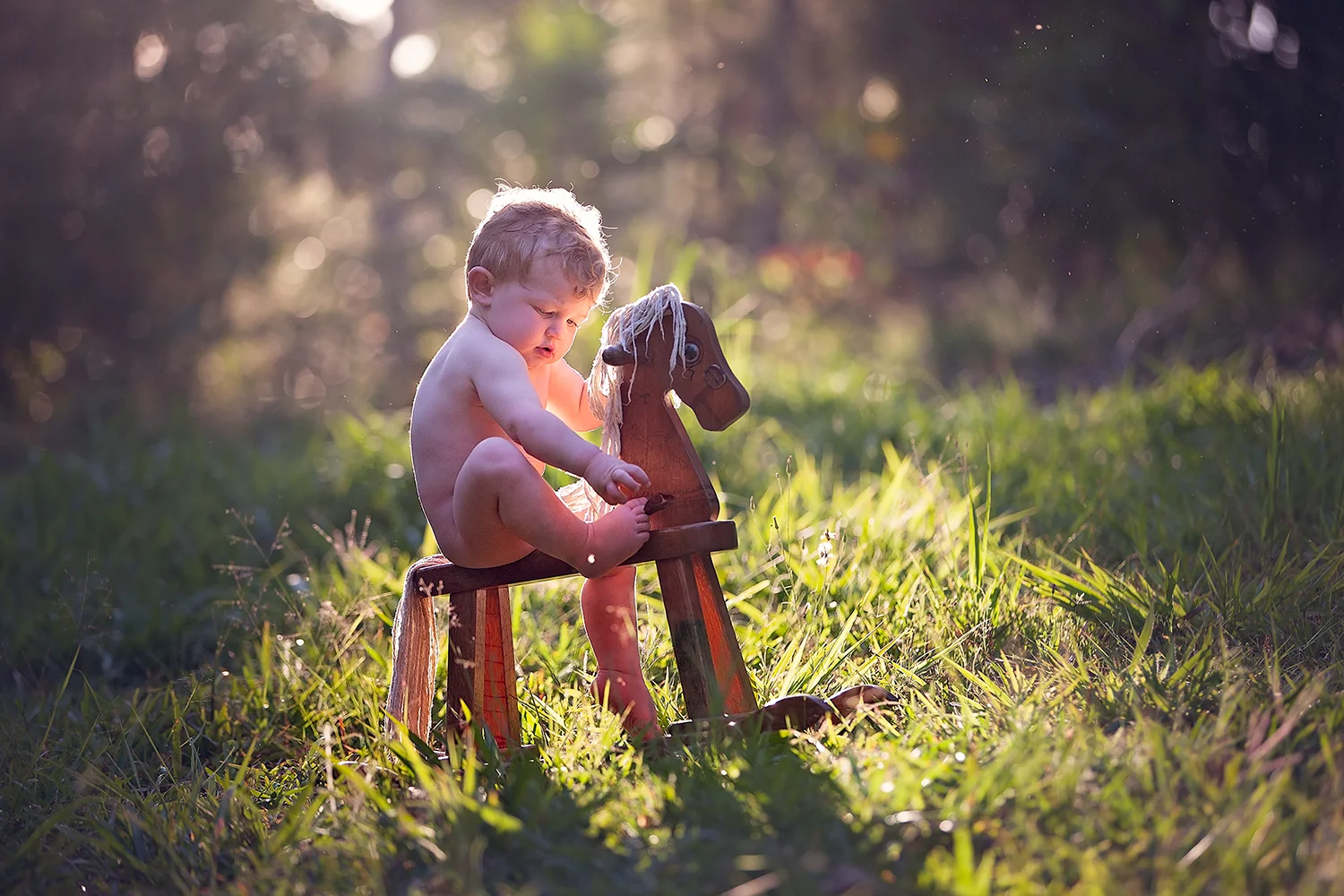 boy_on_rocking_horse.jpg