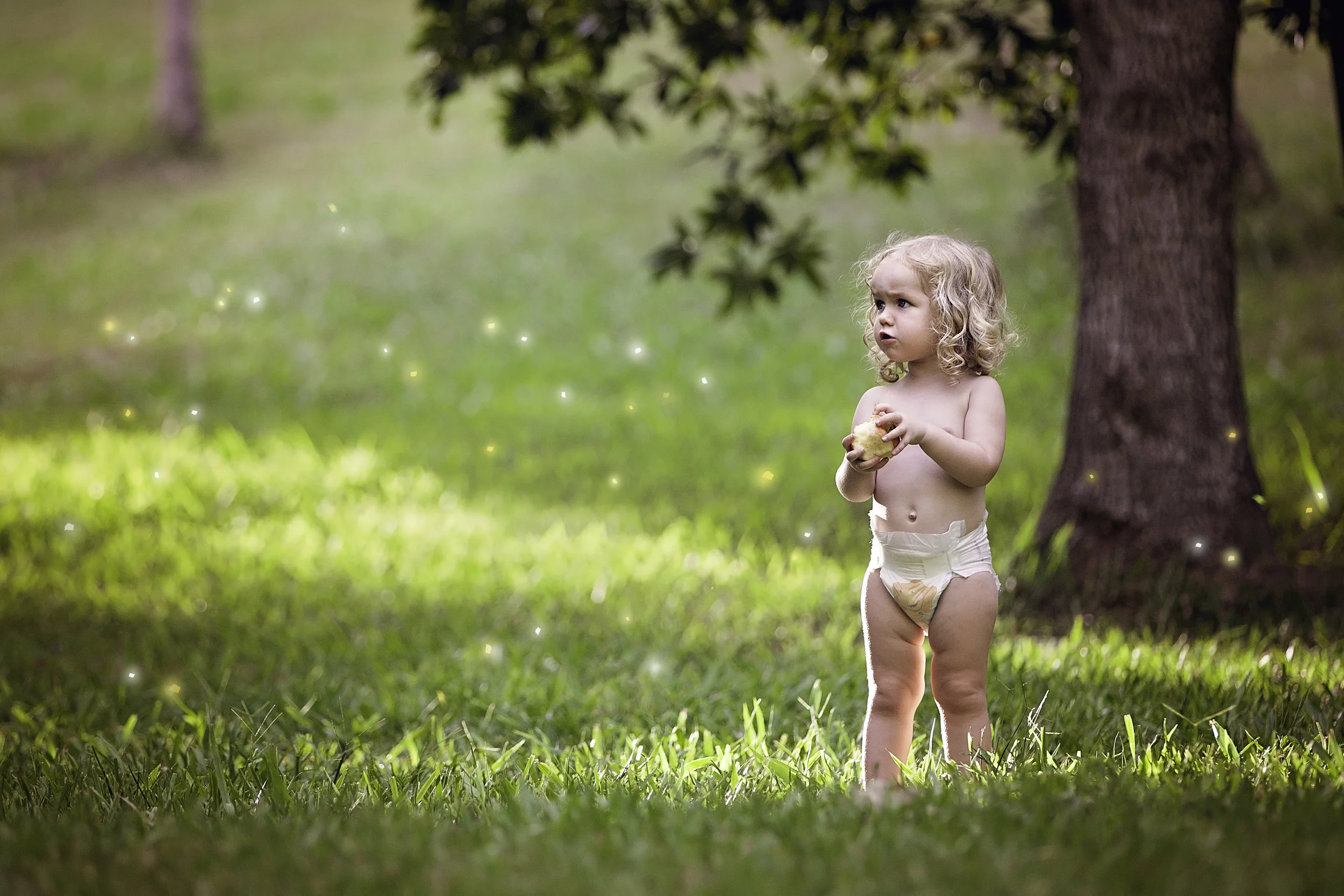 4I8D5940fairyland.jpg