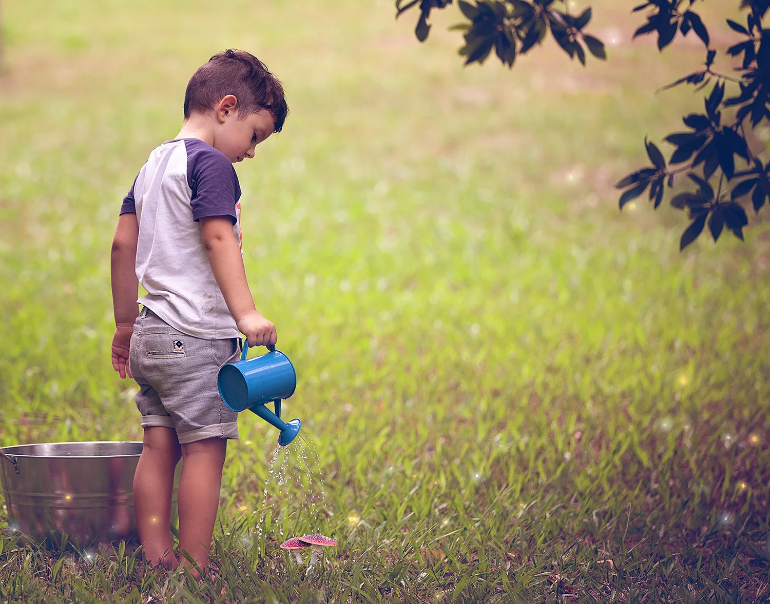 watering_the_fairyland.jpg