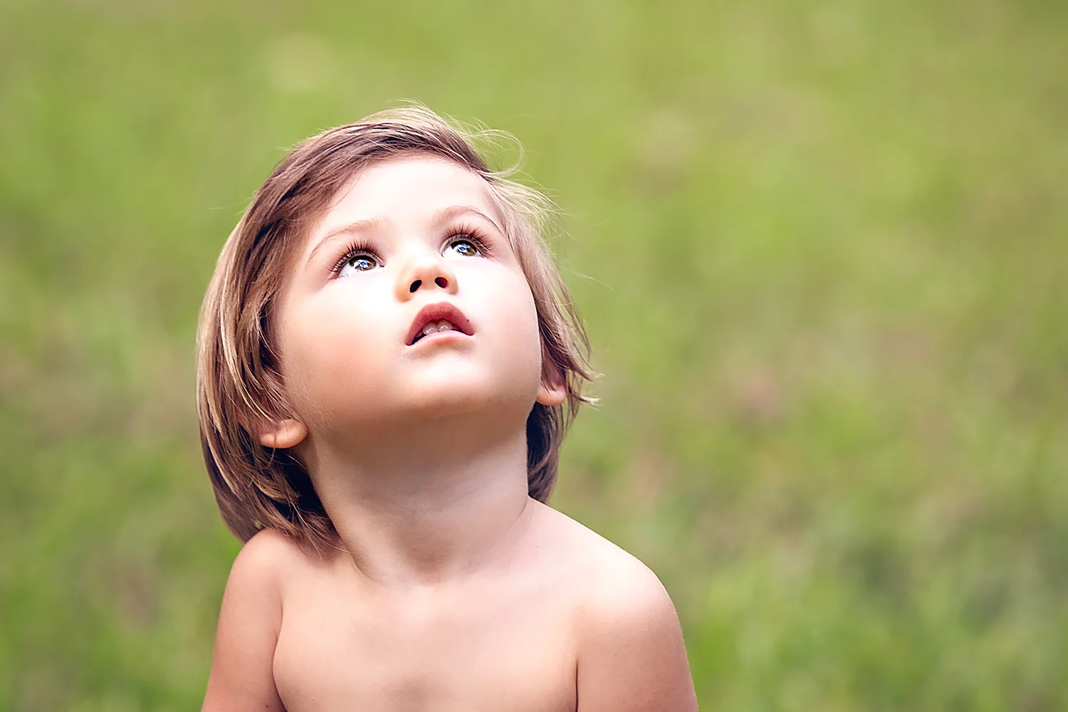 littleboy_lookingup.jpg