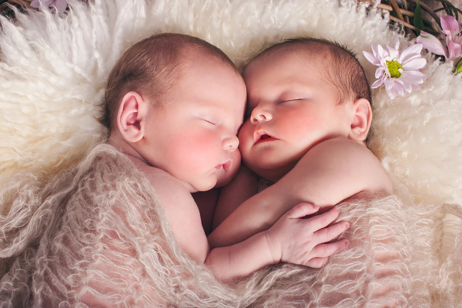 sleeping_twins_m.jpg