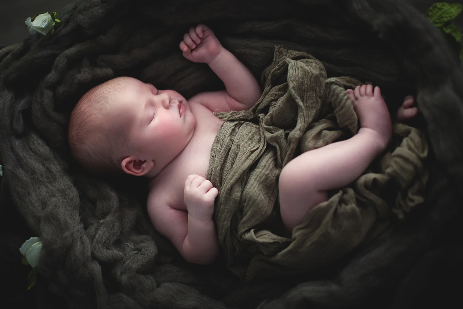 newborn_nest_m.jpg