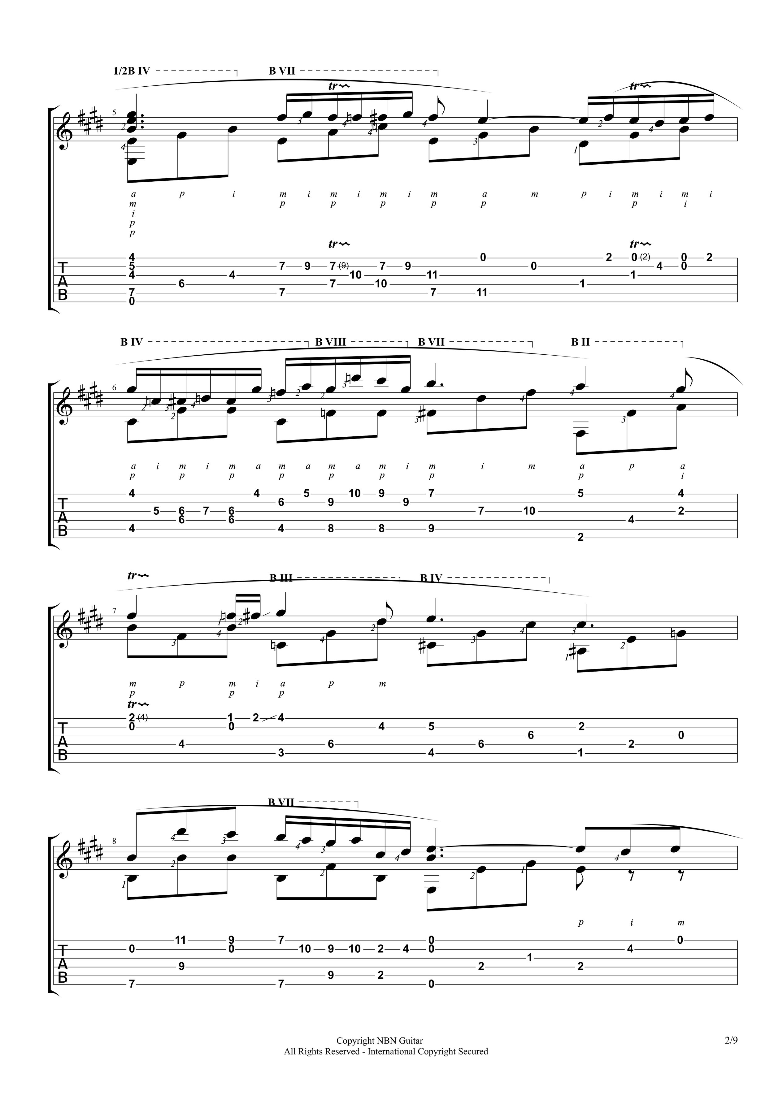 Nocturne in E-flat major (Sheet Music & Tabs)-p04.jpg