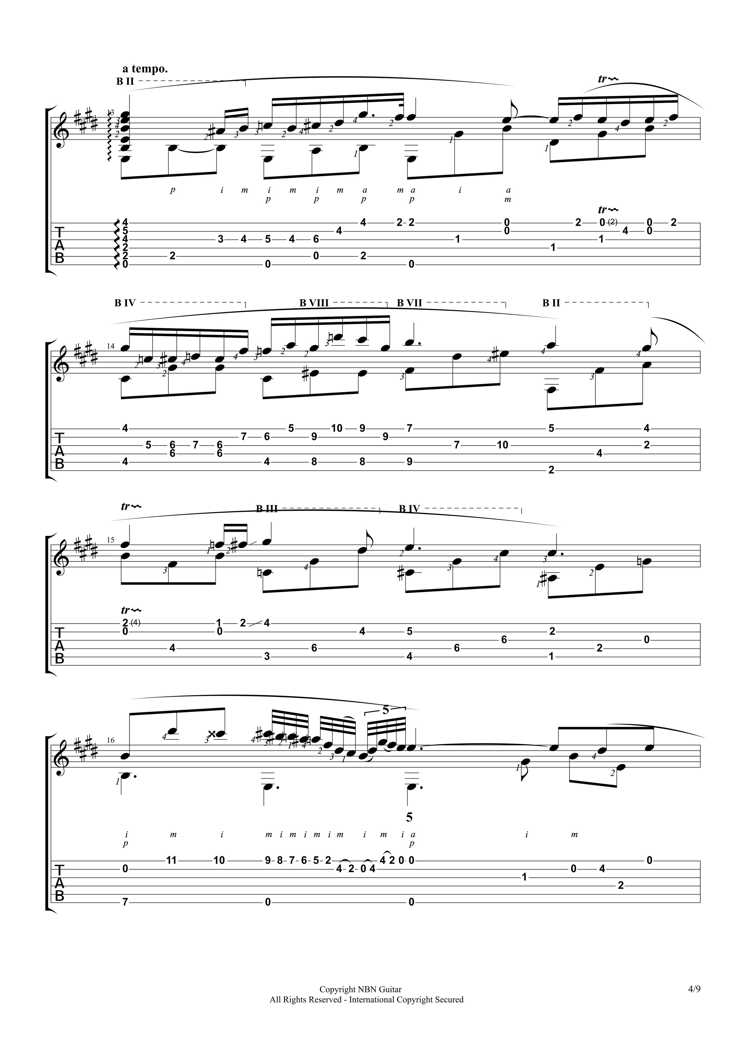 Nocturne in E-flat major (Sheet Music & Tabs)-p06.jpg