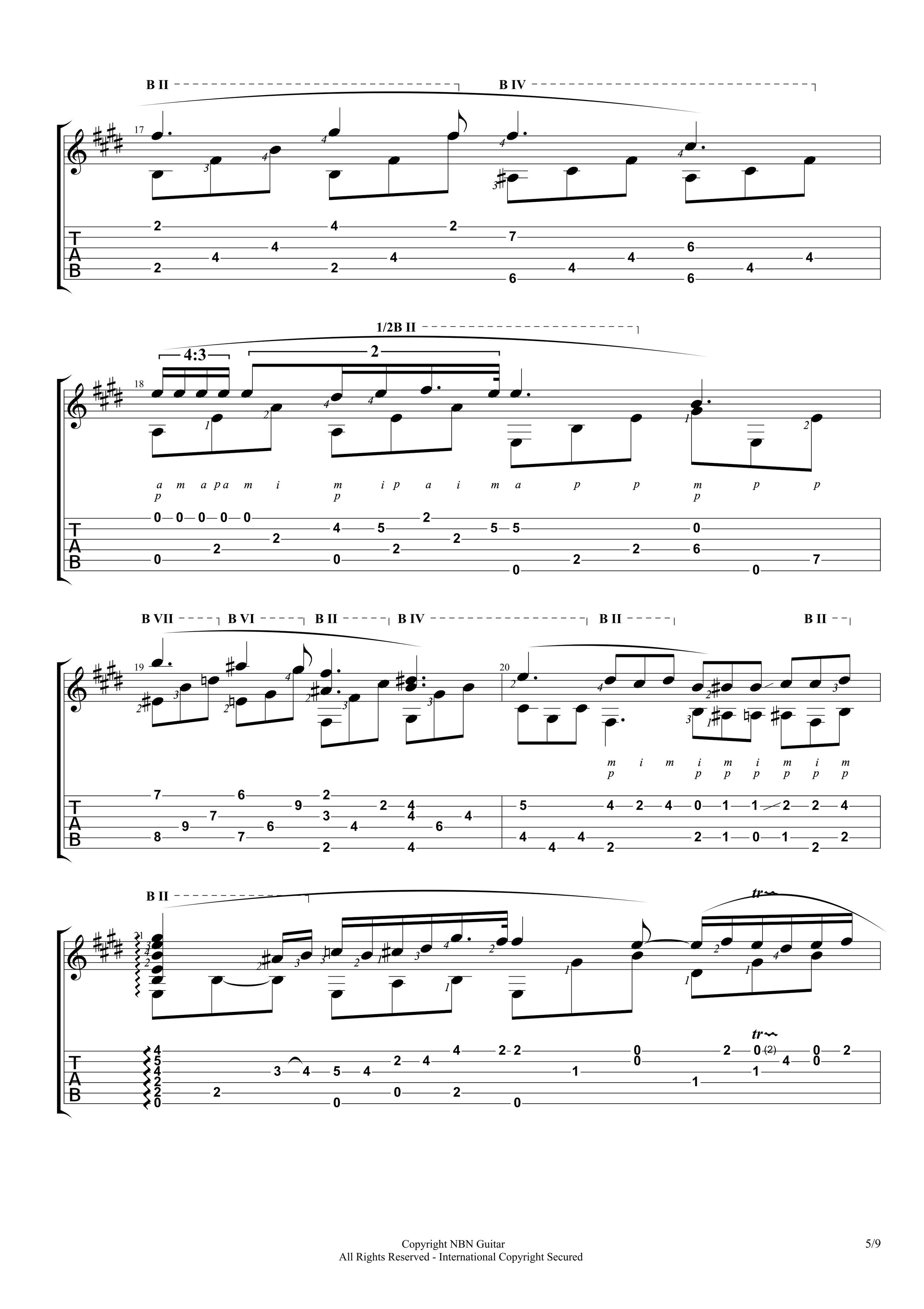 Nocturne in E-flat major (Sheet Music & Tabs)-p07.jpg