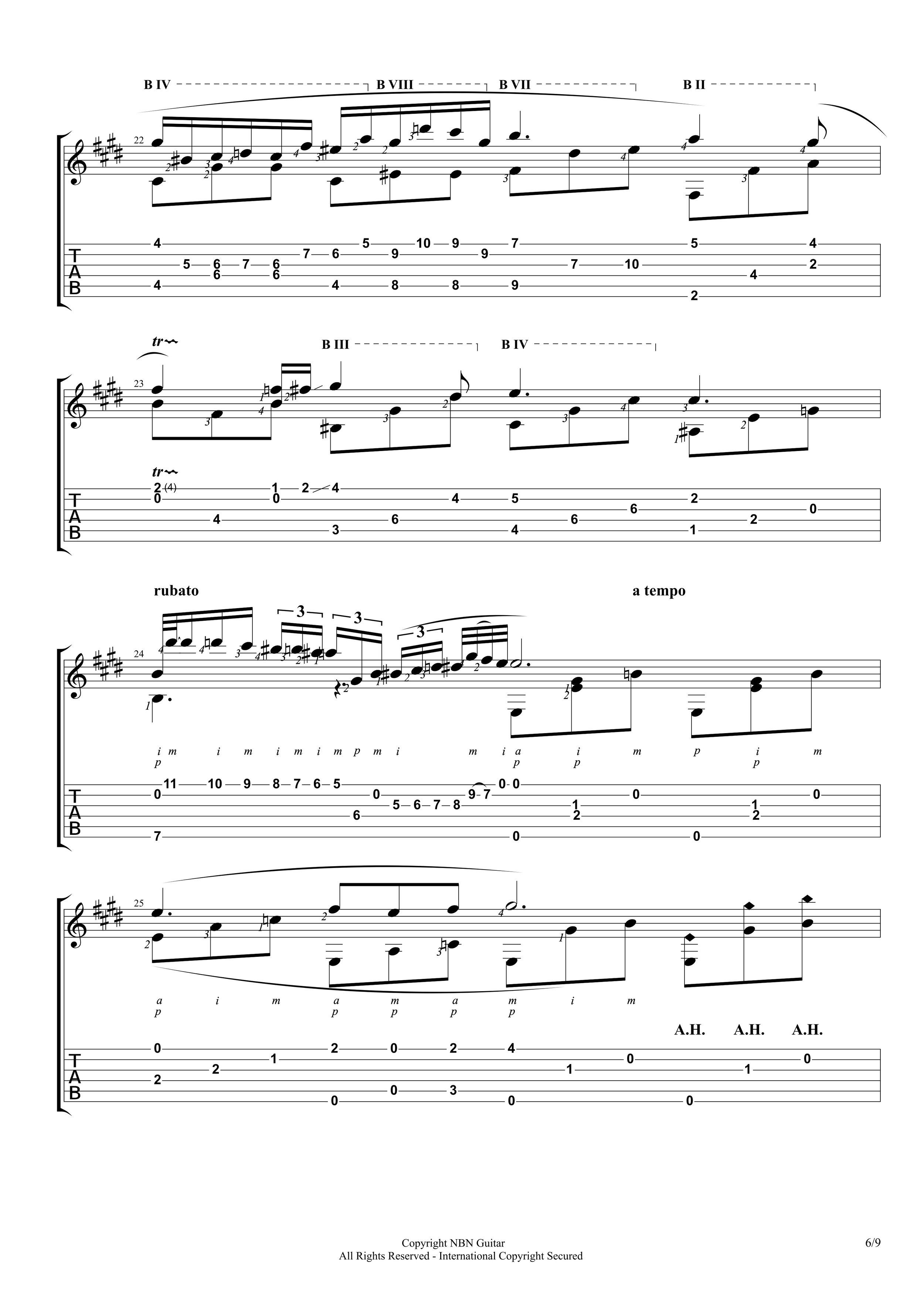Nocturne in E-flat major (Sheet Music & Tabs)-p08.jpg