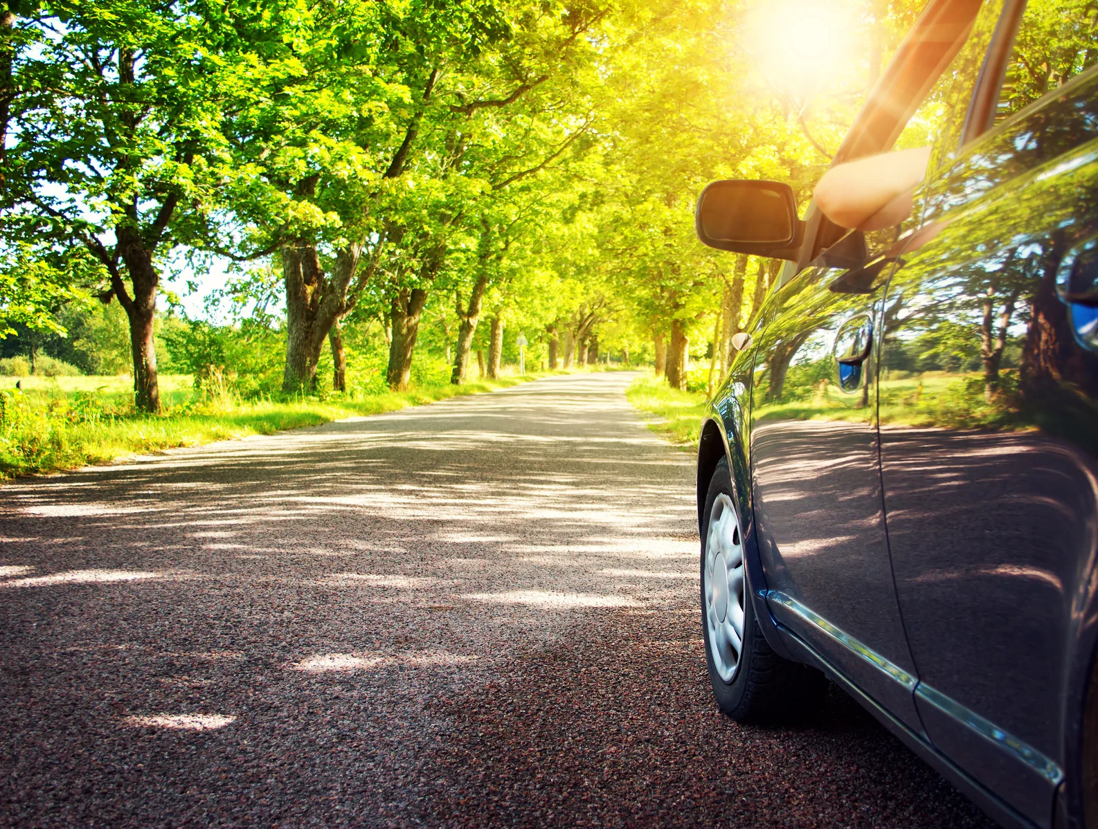 Car on asphalt road in summer.jpg
