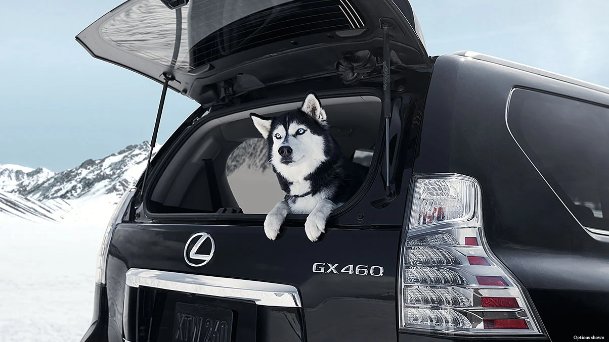 Lexus-GX-exterior-black-onyx-overlay-1204x677-LEX-GXG-MY17-0049-D.jpg