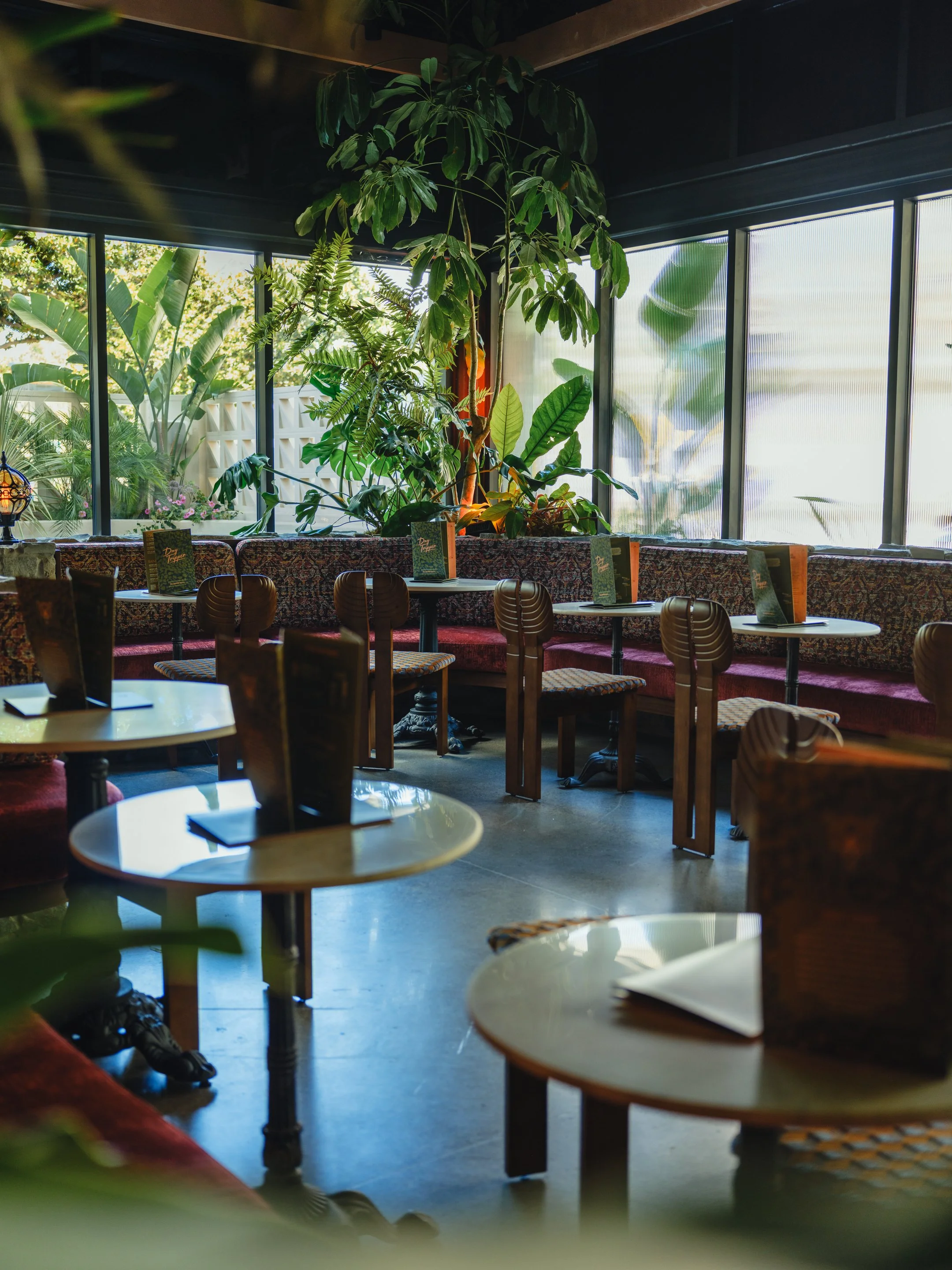 DayTripper_DaytimeCourtyard_2.jpg