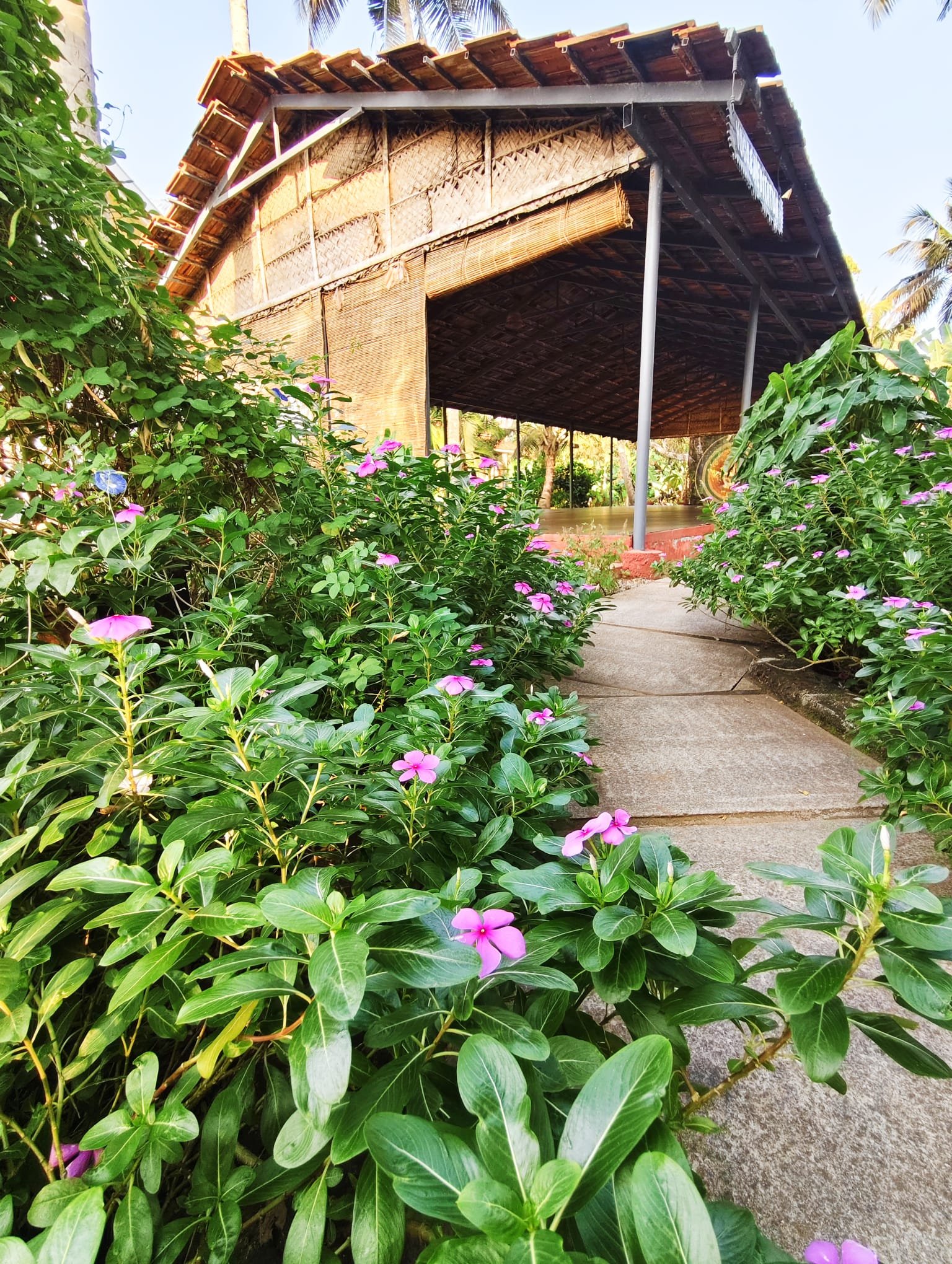 WhatsApp Image 2026-03-07 at 13.34.22 (5).jpeg