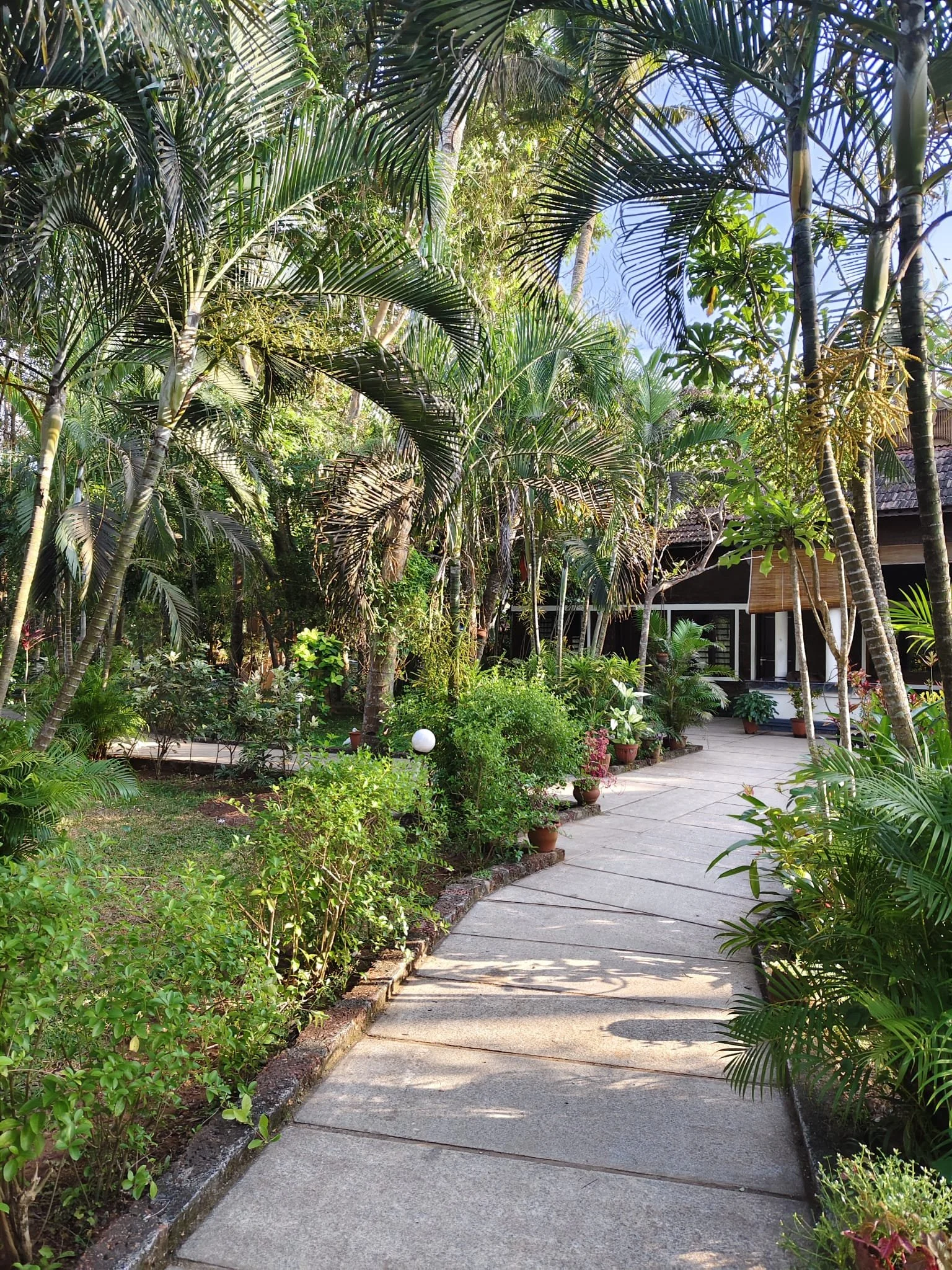 WhatsApp Image 2026-03-07 at 13.34.22.jpeg