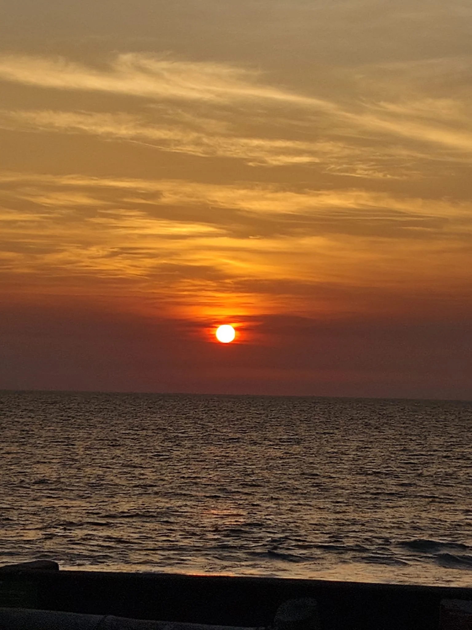 WhatsApp Image 2026-03-07 at 13.34.21 (1).jpeg