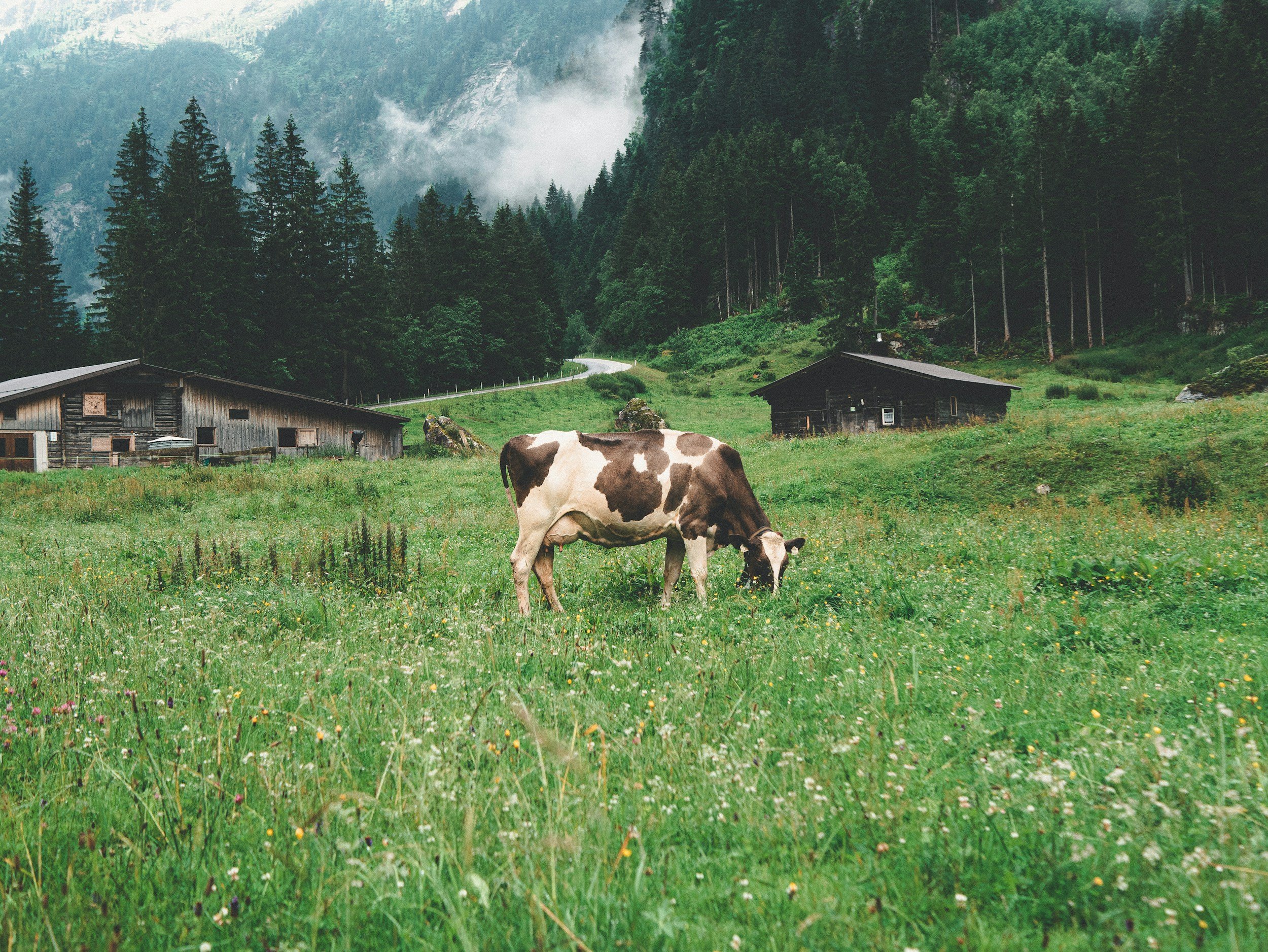Kraftort Berg