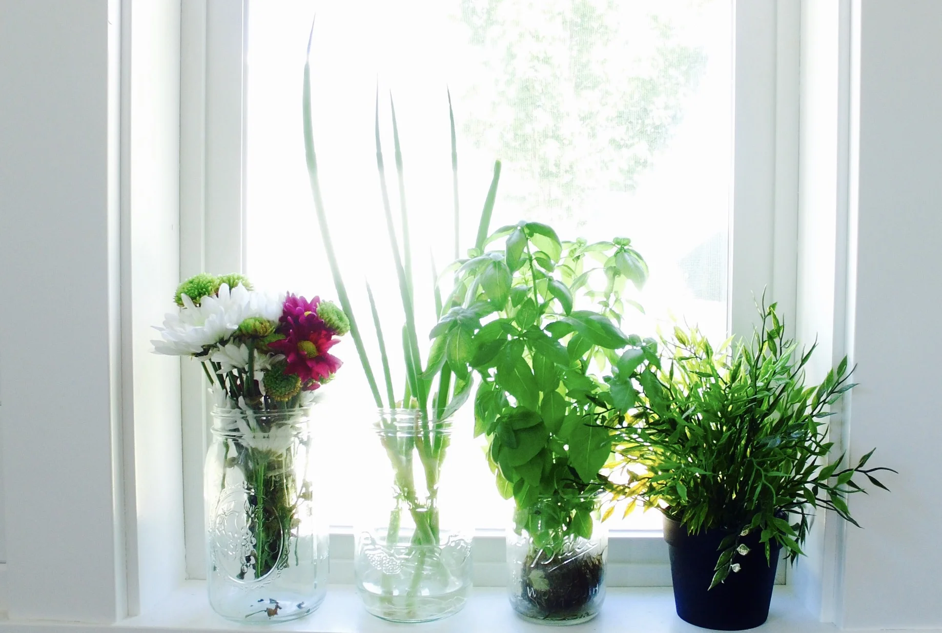 The plants do well. I on the other hand...