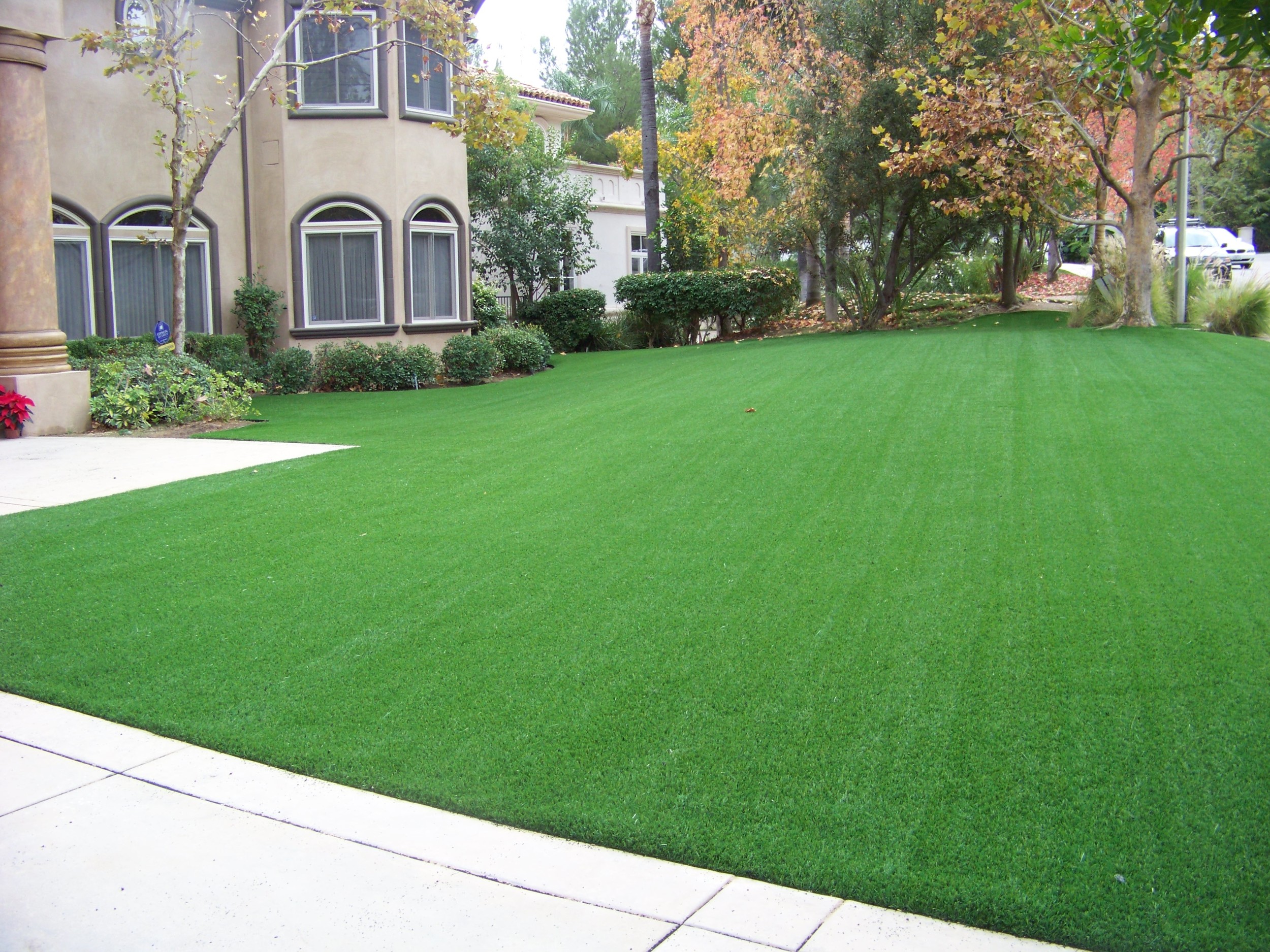 finished-lawn.jpg