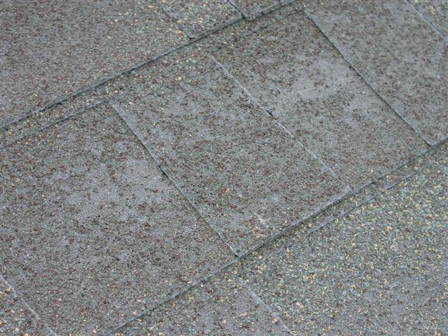 MISSING GRANULES / BALD SPOTS