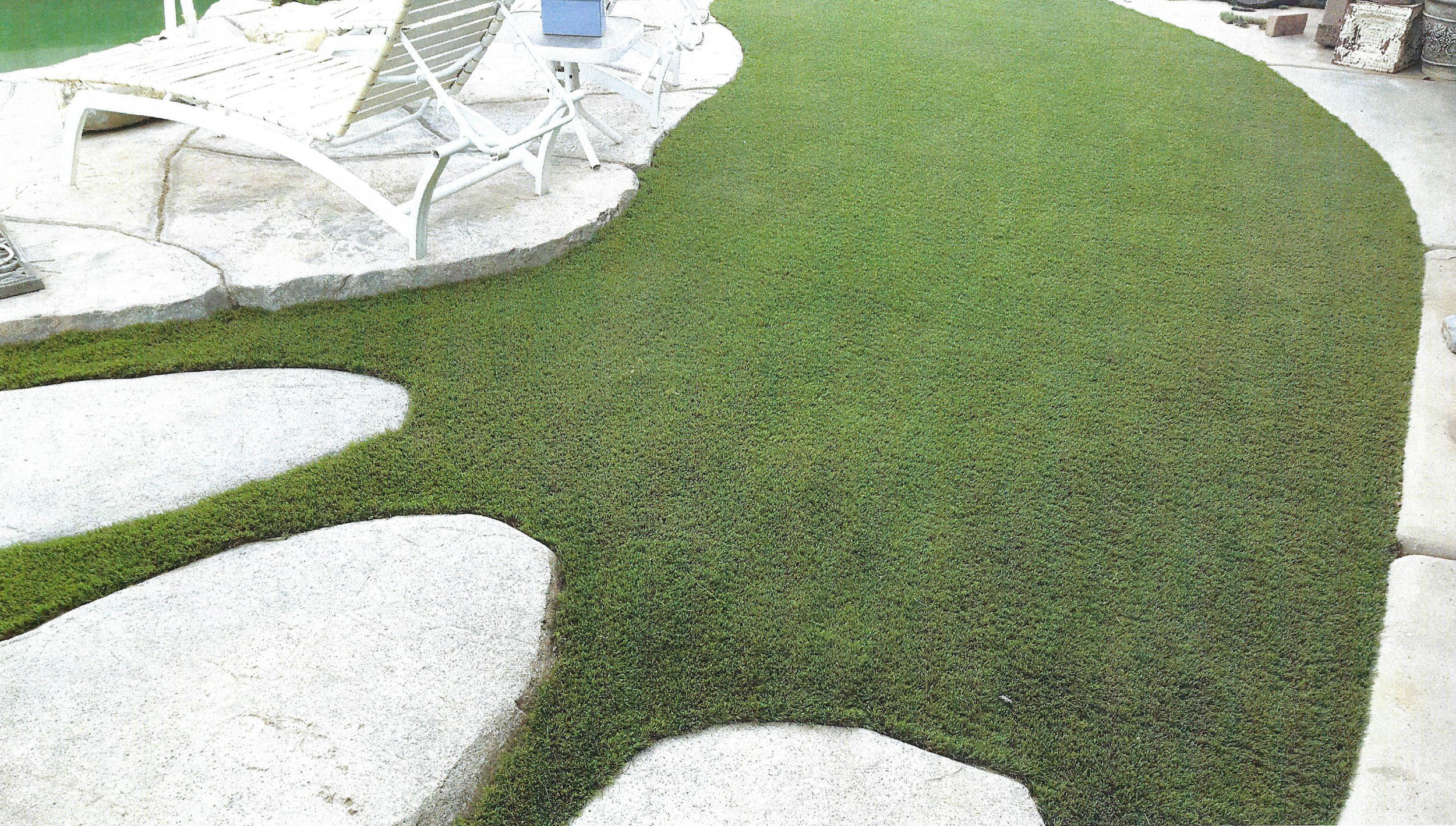 Artificial Grass Installations