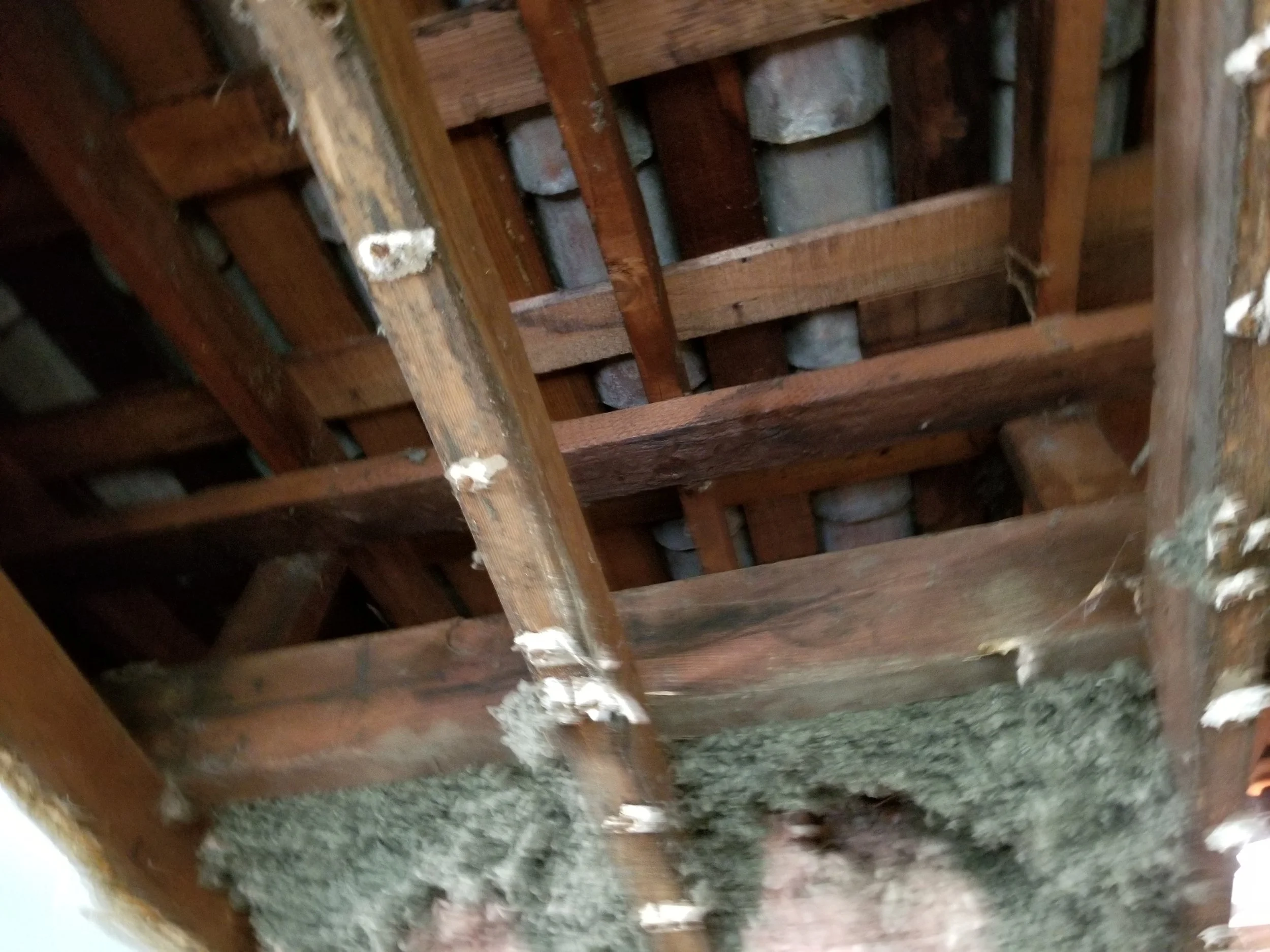 20190123_114633.jpg