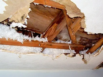Ceiling-leak.png