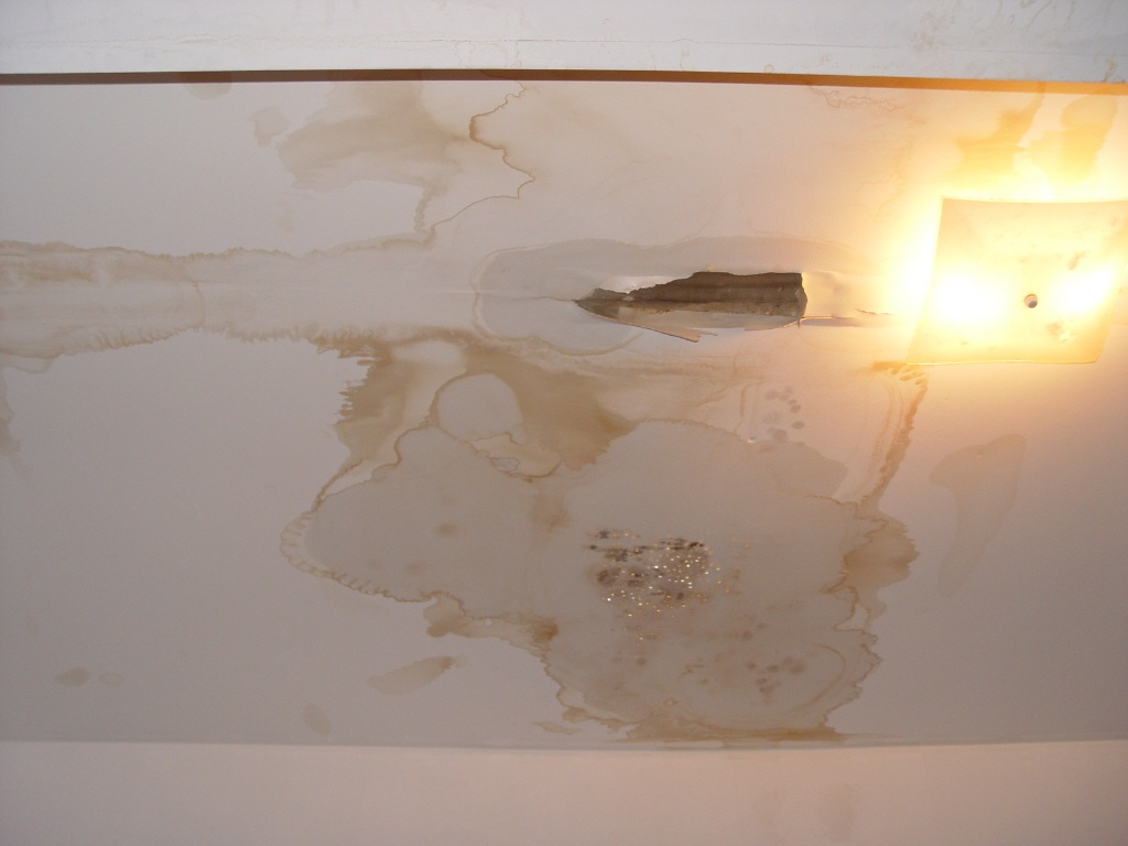 leaky-roof3.jpg