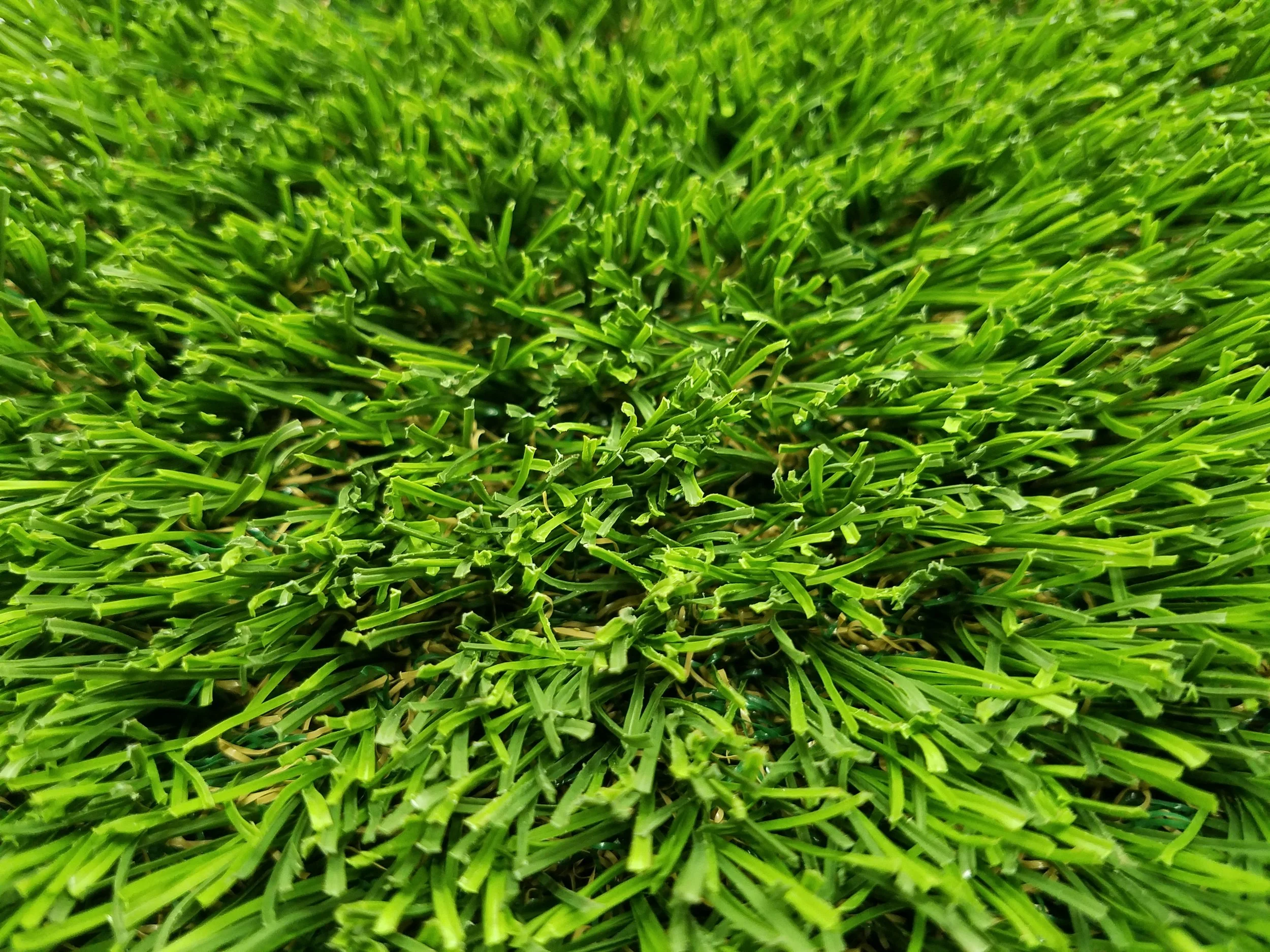 20190321_121103.jpg