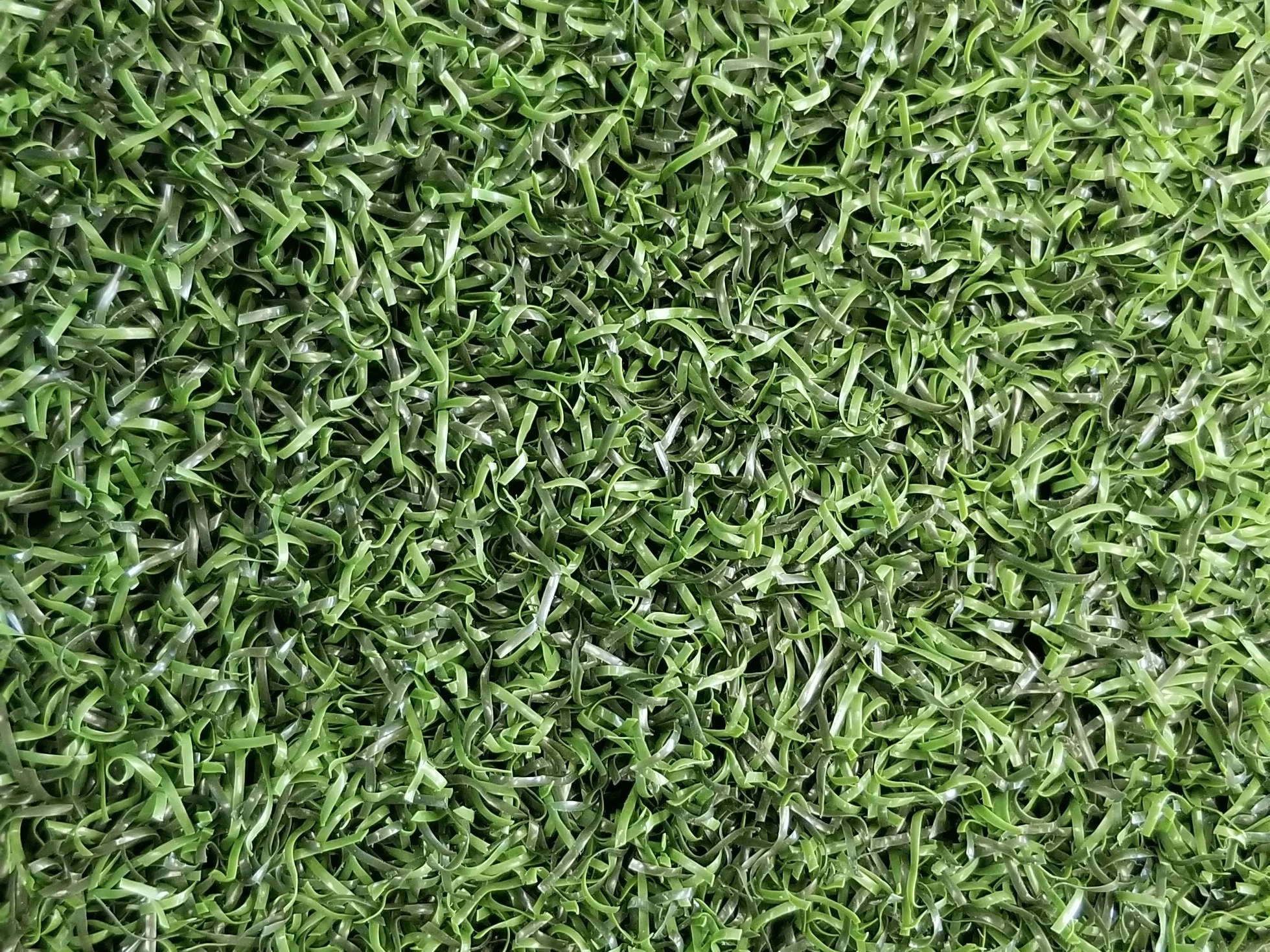 57-PUTTING-GREEN.jpg