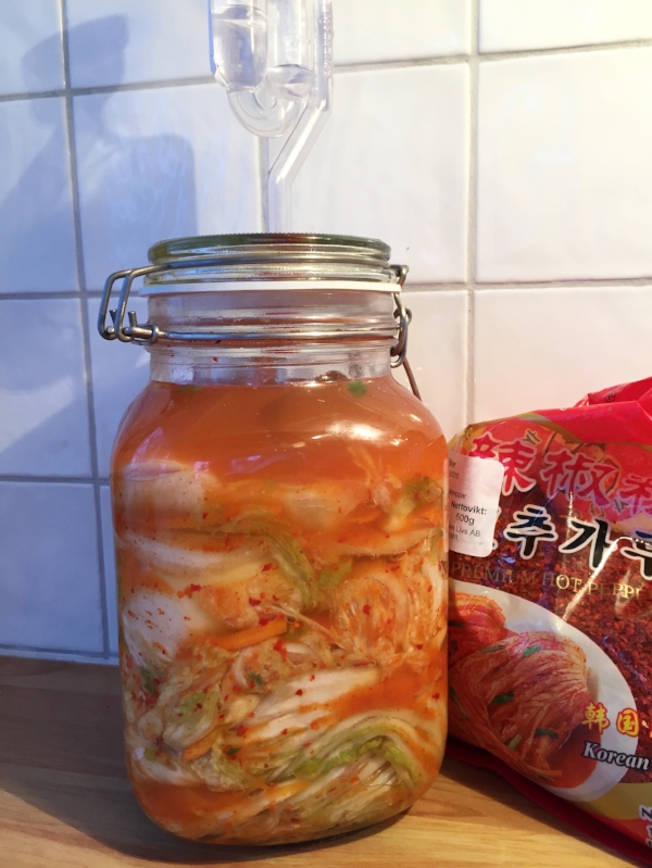 Alkymistisk prosess foregår! Legg merke til at hele blandingen har løftet seg opp i glasset. Det er våre venner melkesyrebakteriene som står for dette. De har kjempefest i glasset, spiser og koser seg og produserer masse gode saker som er godt for oss. Kullsyren de også produserer gjør at det blir så mye bobler som løfter det hele oppover. 