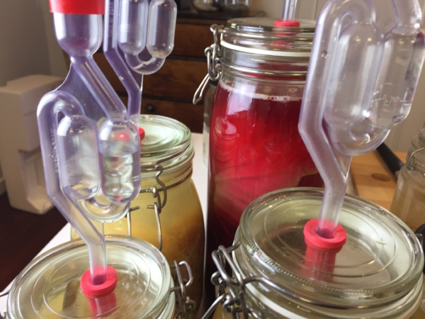 Tett glass - fylt opp omtrent 4/5 fullt - med gjærlås som slipper ut trykk uten at det kommer luft inn i glasset. Her er man langt på vei sikret vellykket og trygg fermentering. Mugg vil ha små muligheter til å etablere seg i glasset. Se nettbutikk.