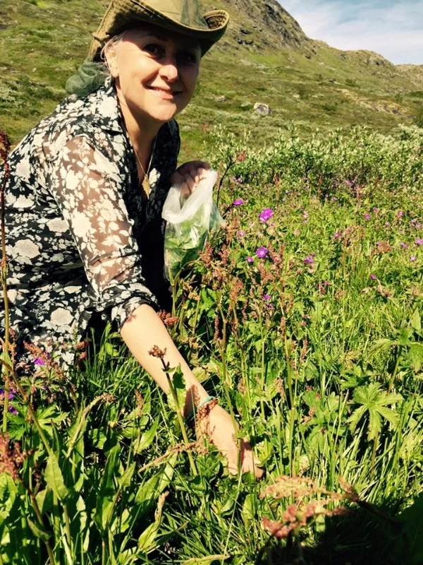 Fjellets byr på fantastiske ville vekster vi kan bruke til mat og medisin.