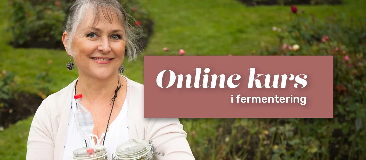 Online_kurs.jpg