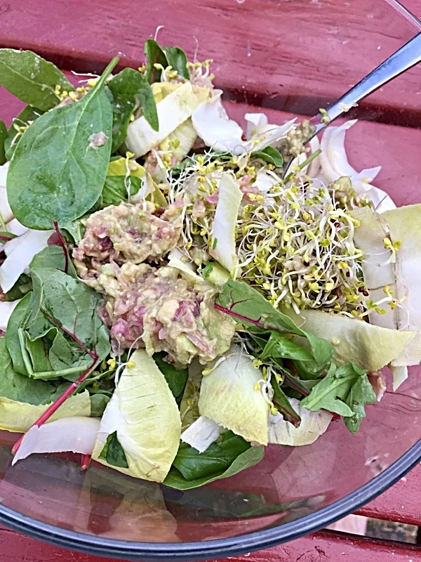 Salat med chikori/endive, miks av økologiske grønne blader, brokkolispirer. Guacamolen ble tilsatt som en dressing, og det fungerte godt. Veldig godt!